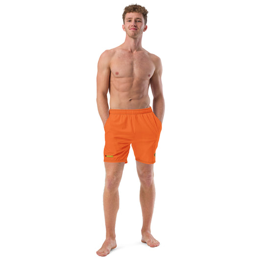 Adventure V 954 Signature Men's swim trunks