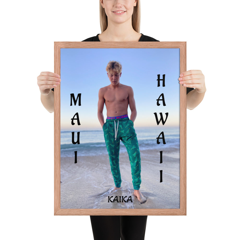 Kaika 954 Model Framed poster
