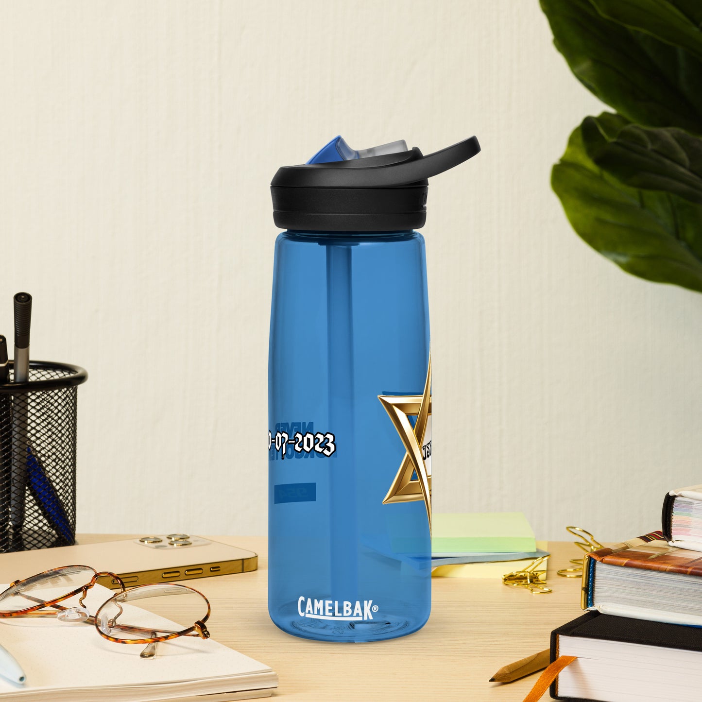Sports water bottle