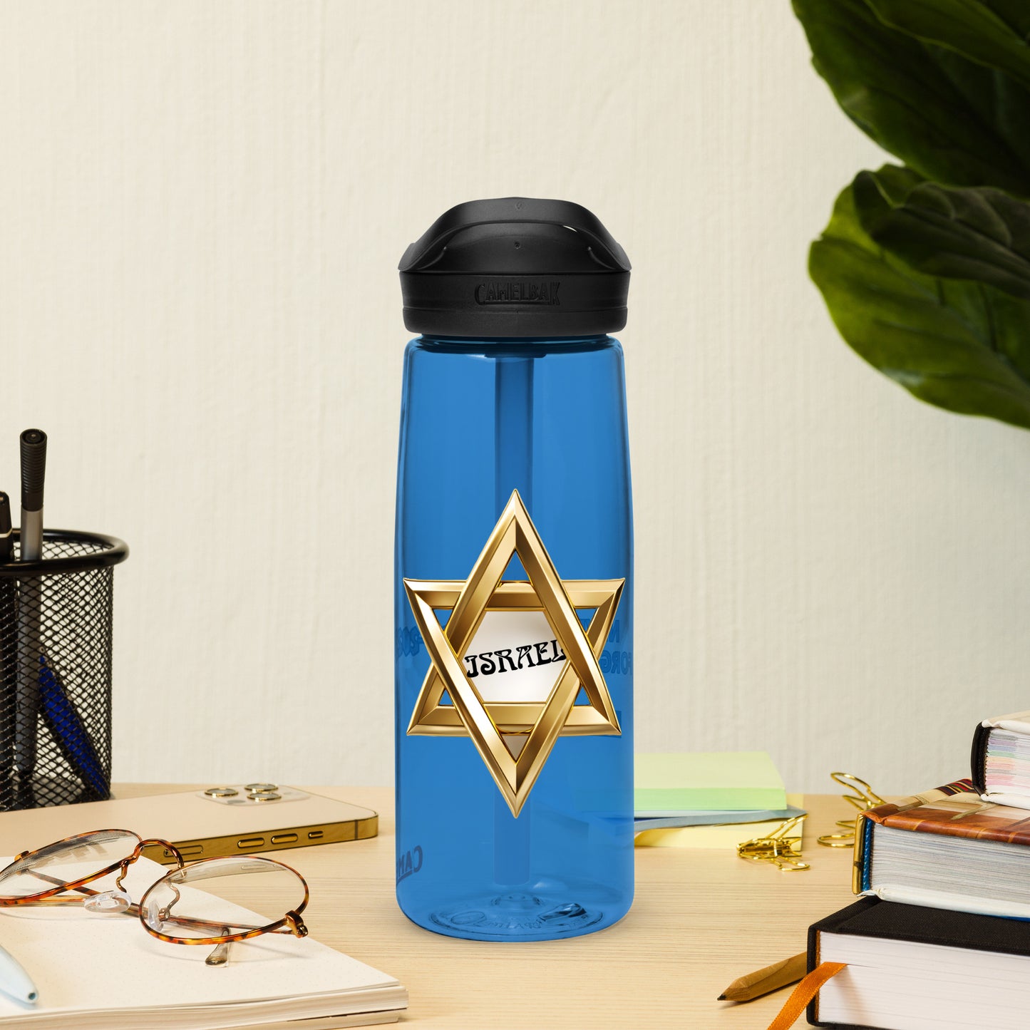 Sports water bottle