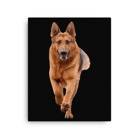 German Shepherd II 954 Signature Thin canvas