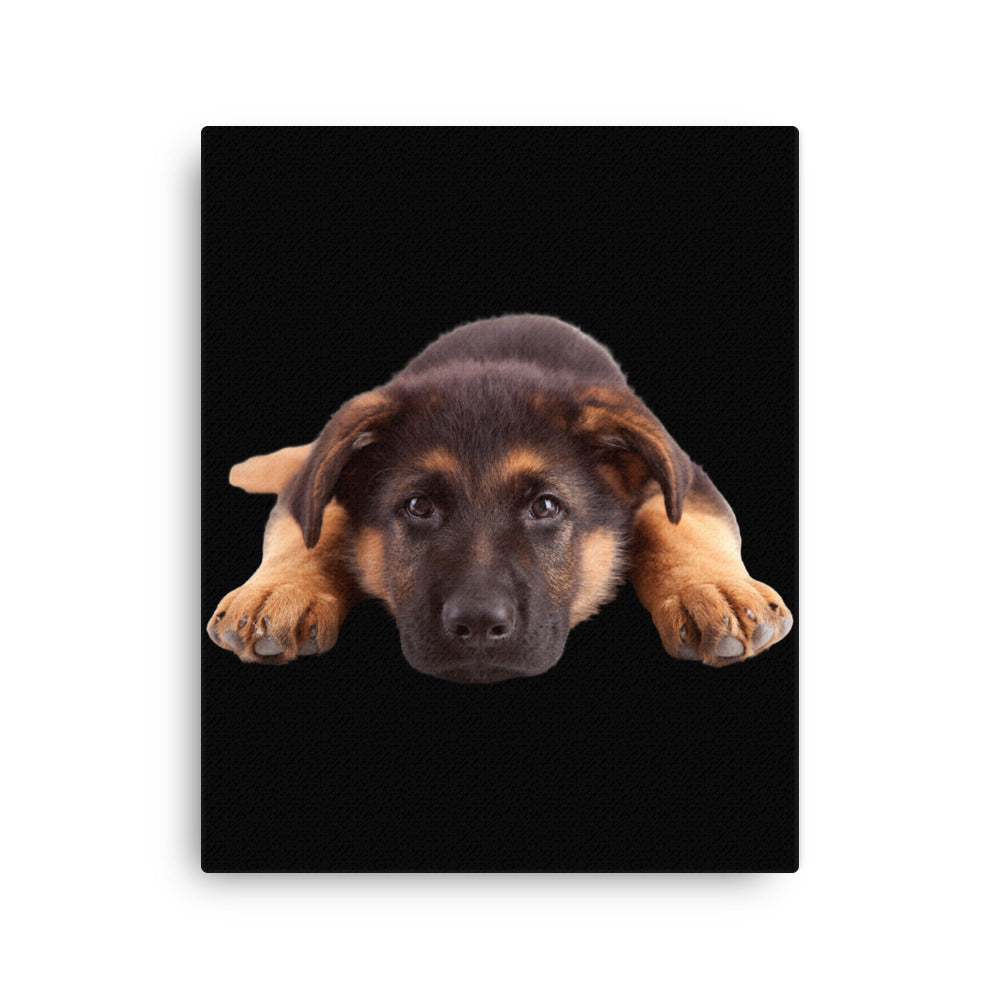Shepherd Puppy 954 Signature Thin canvas