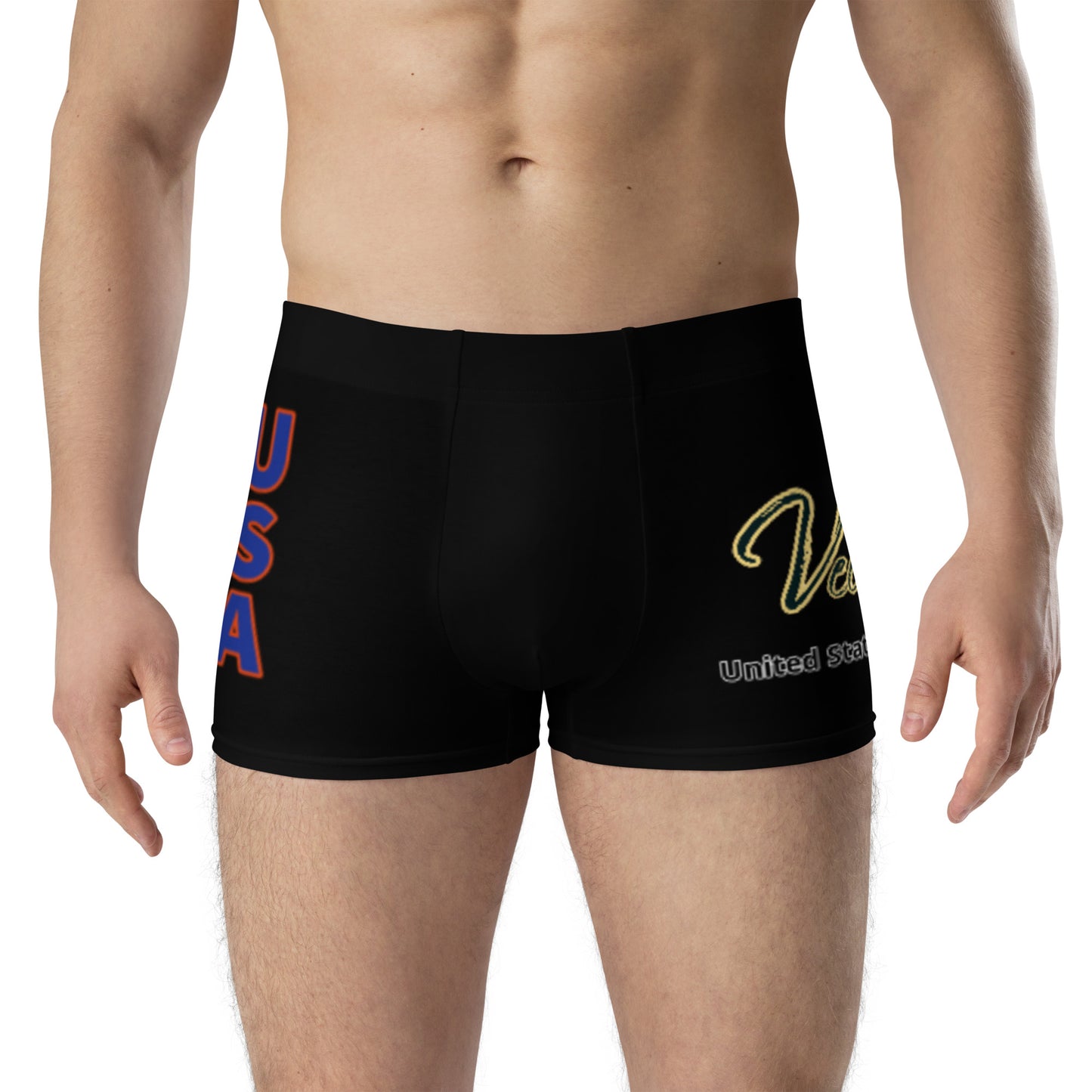 Vector Fighter 954 Boxer Briefs