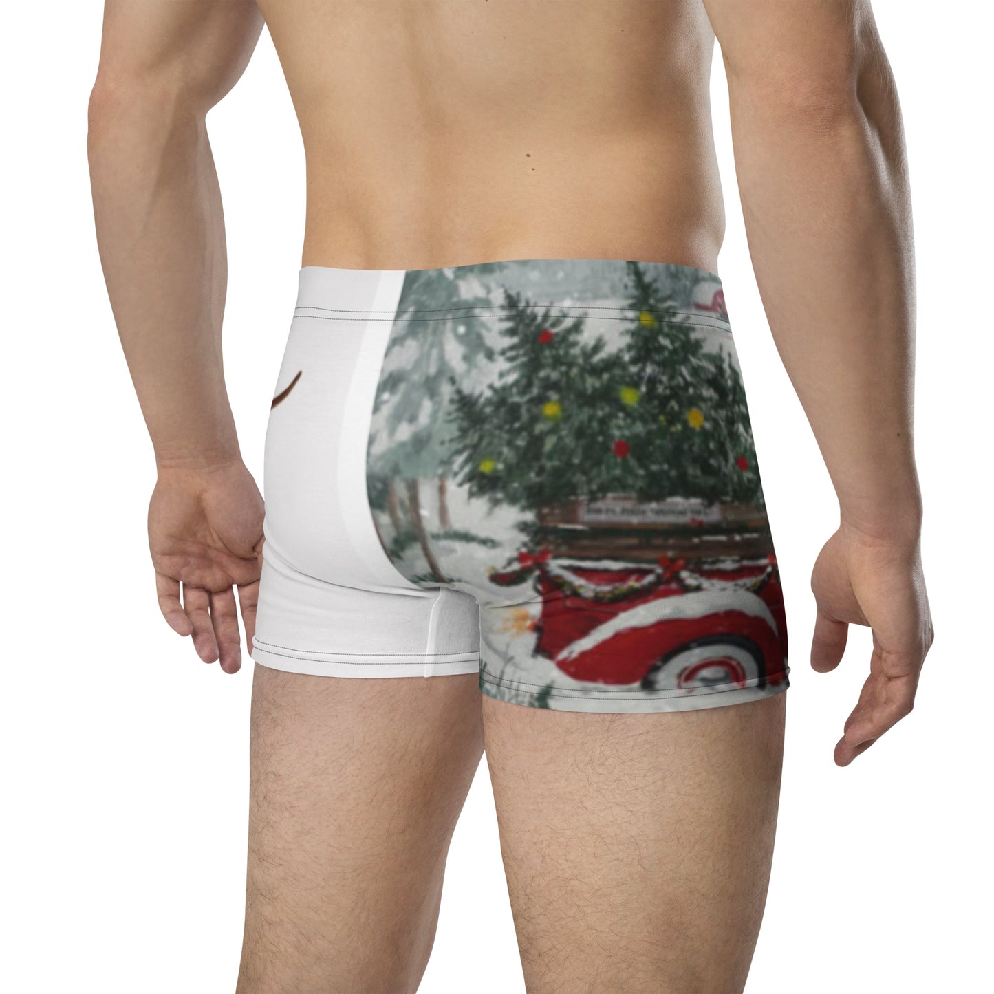Merry Christmas 954 Boxer Briefs