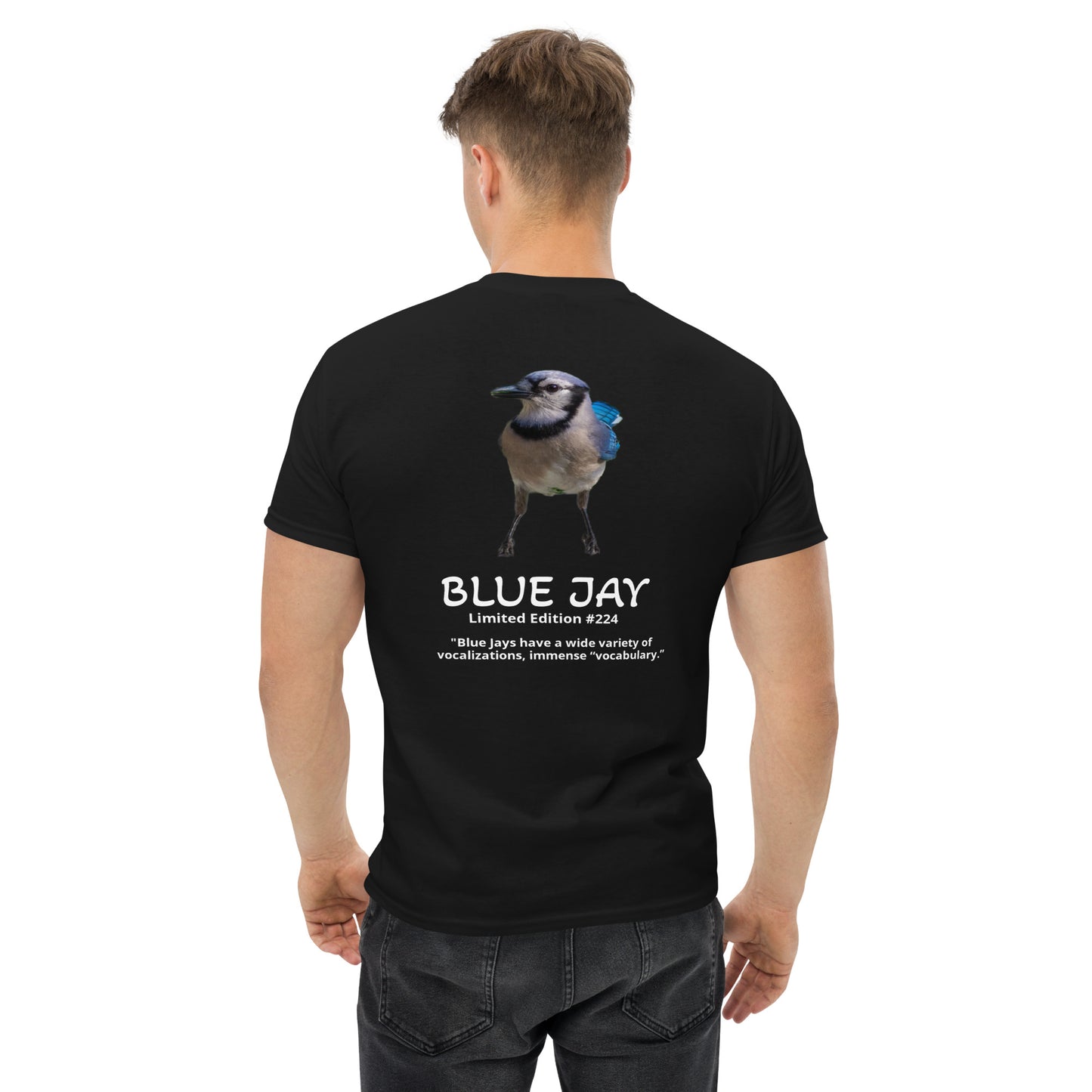 Blue Jay - Limited Edition