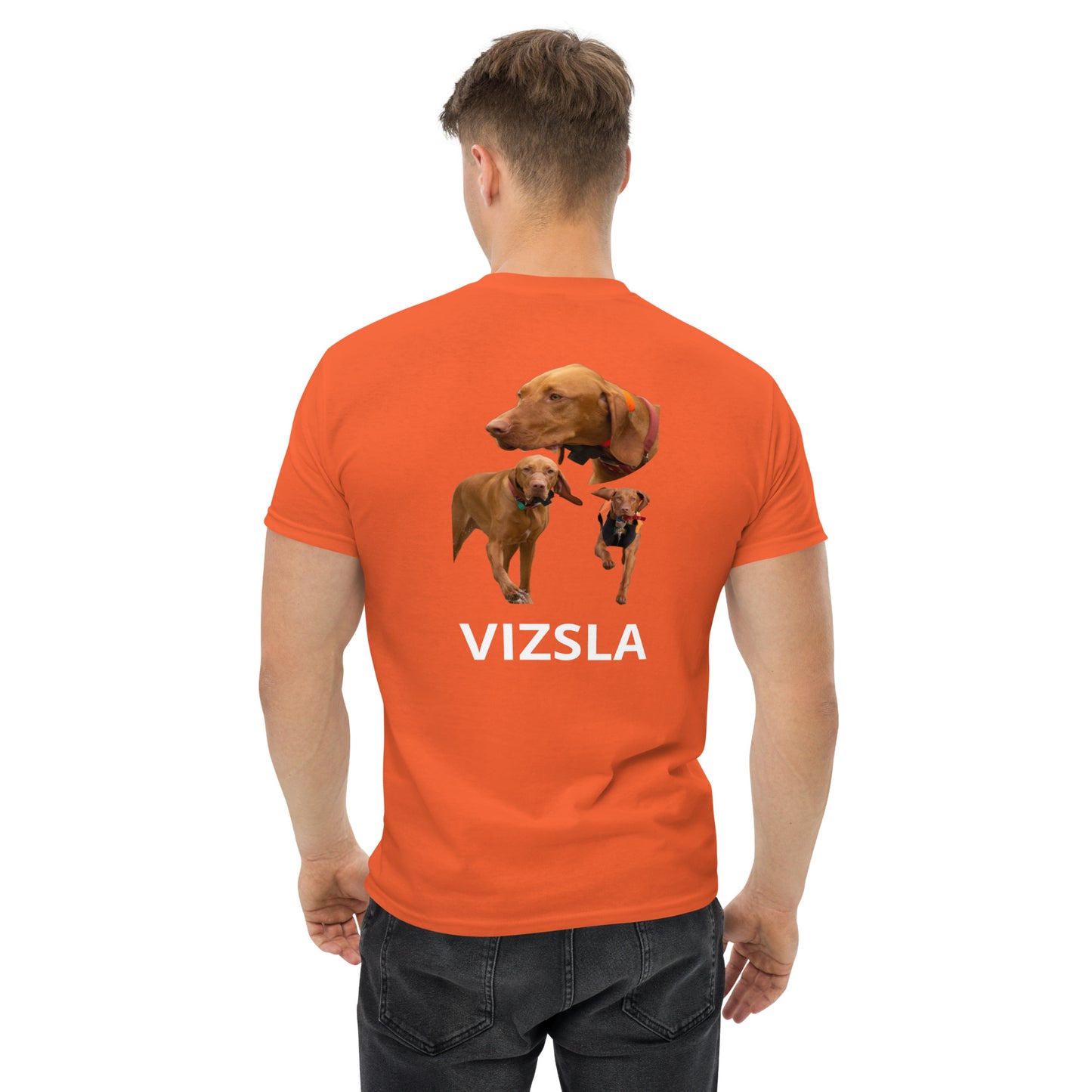 VIZSLA
