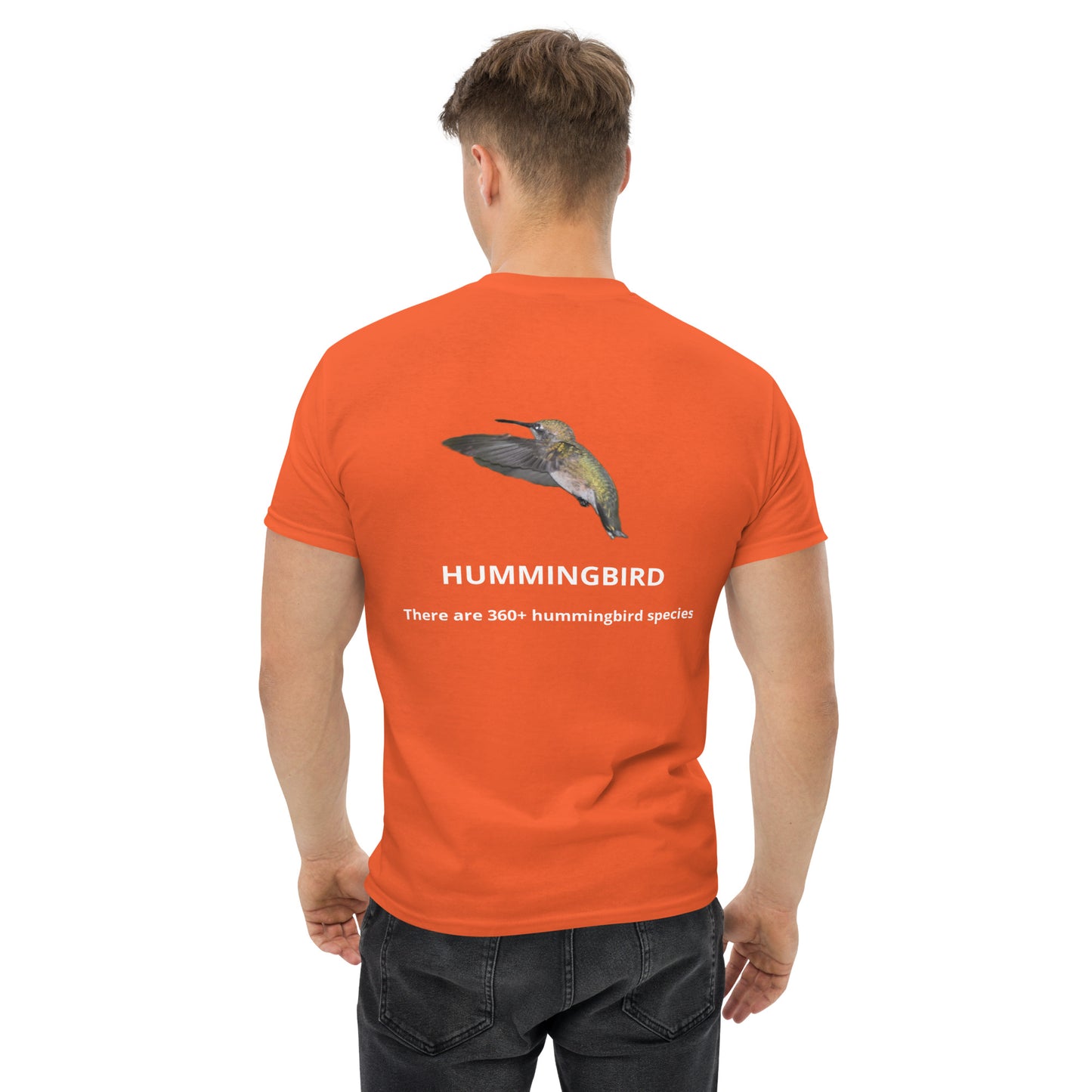 Hummingbird