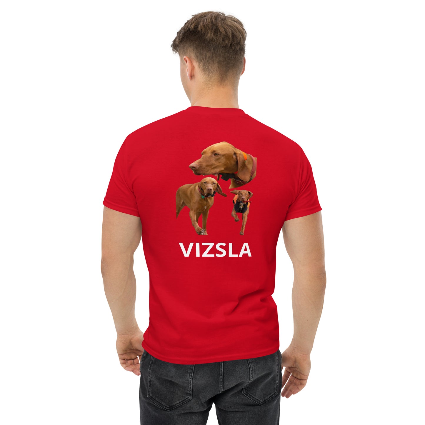 VIZSLA