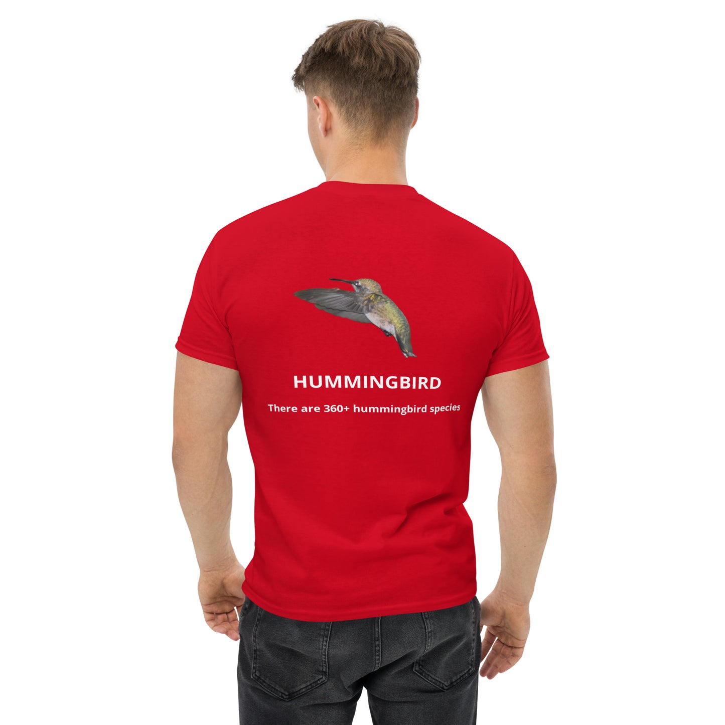 Hummingbird