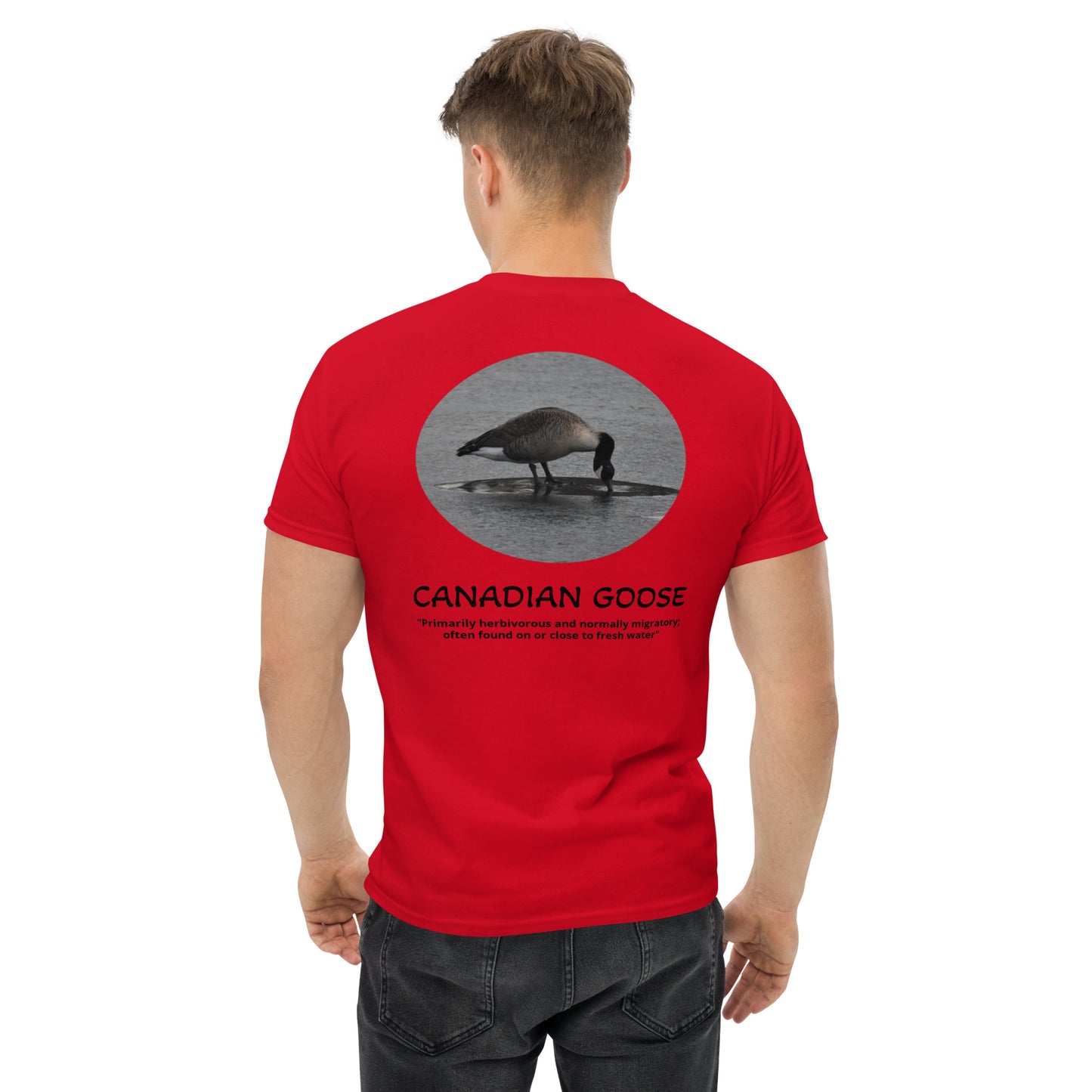 Canadian Goose