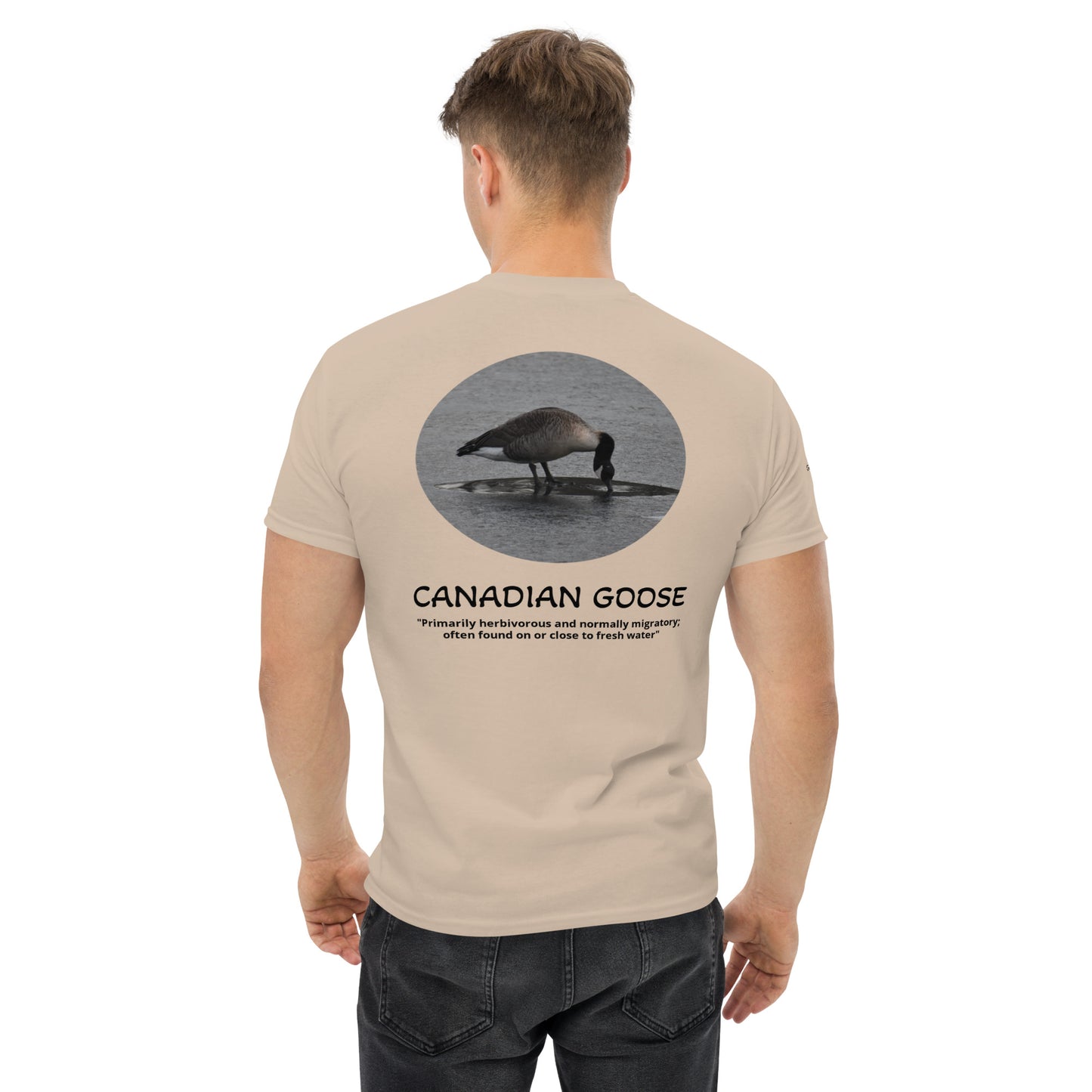 Canadian Goose
