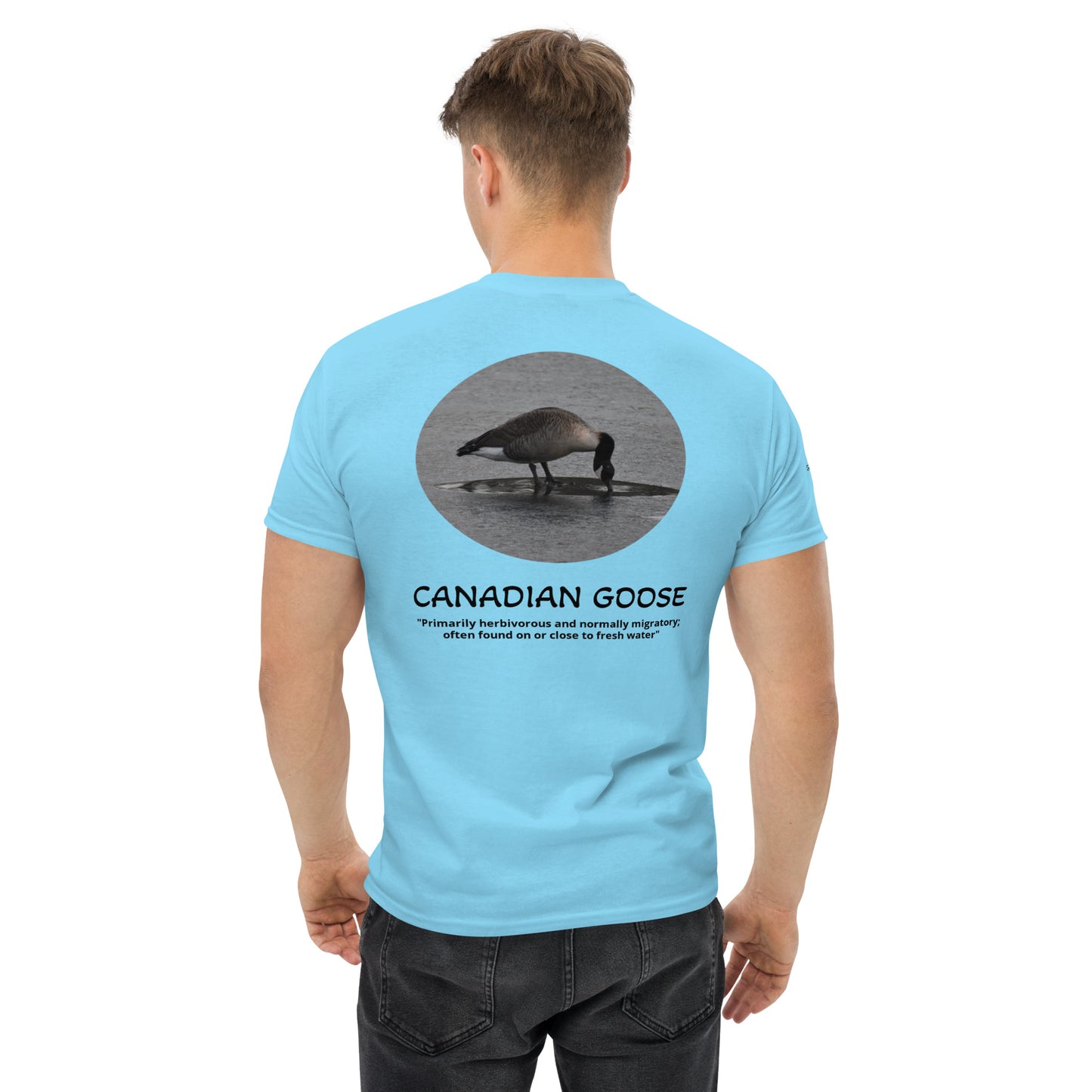 Canadian Goose