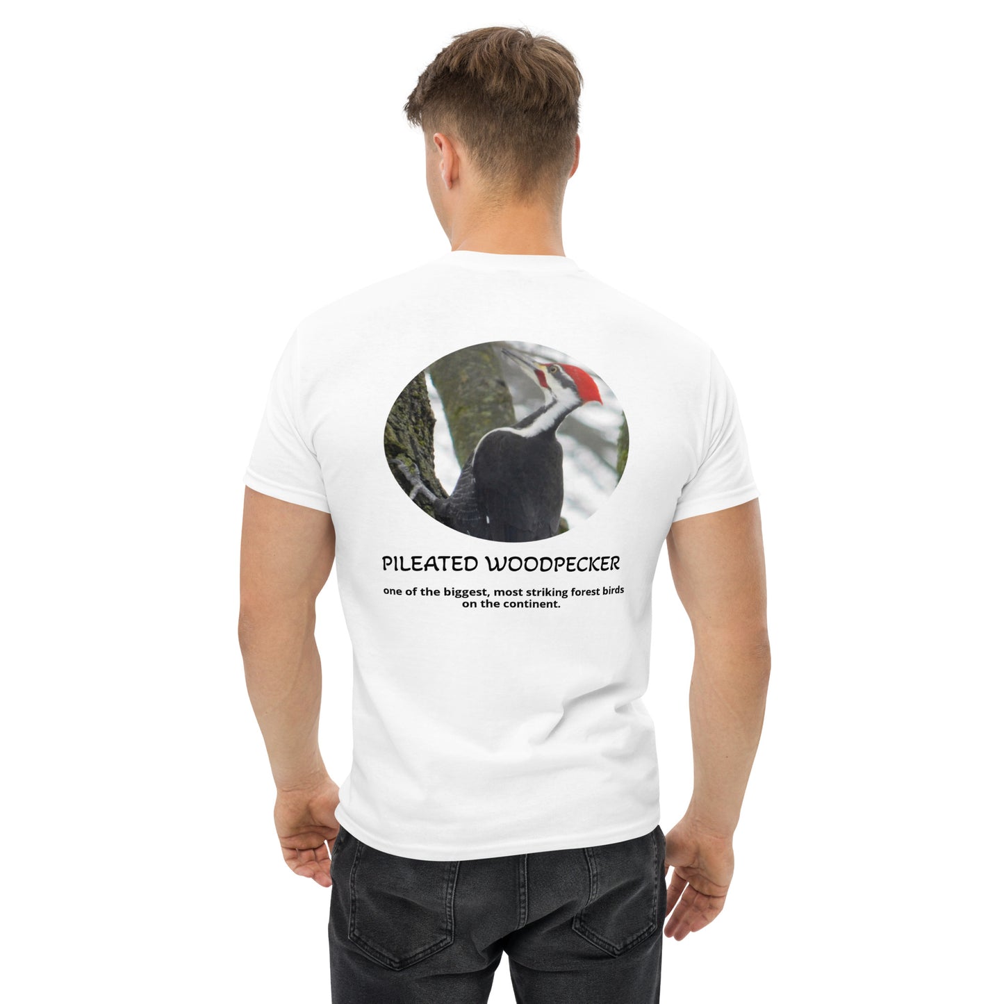 Pileated Woodpecker
