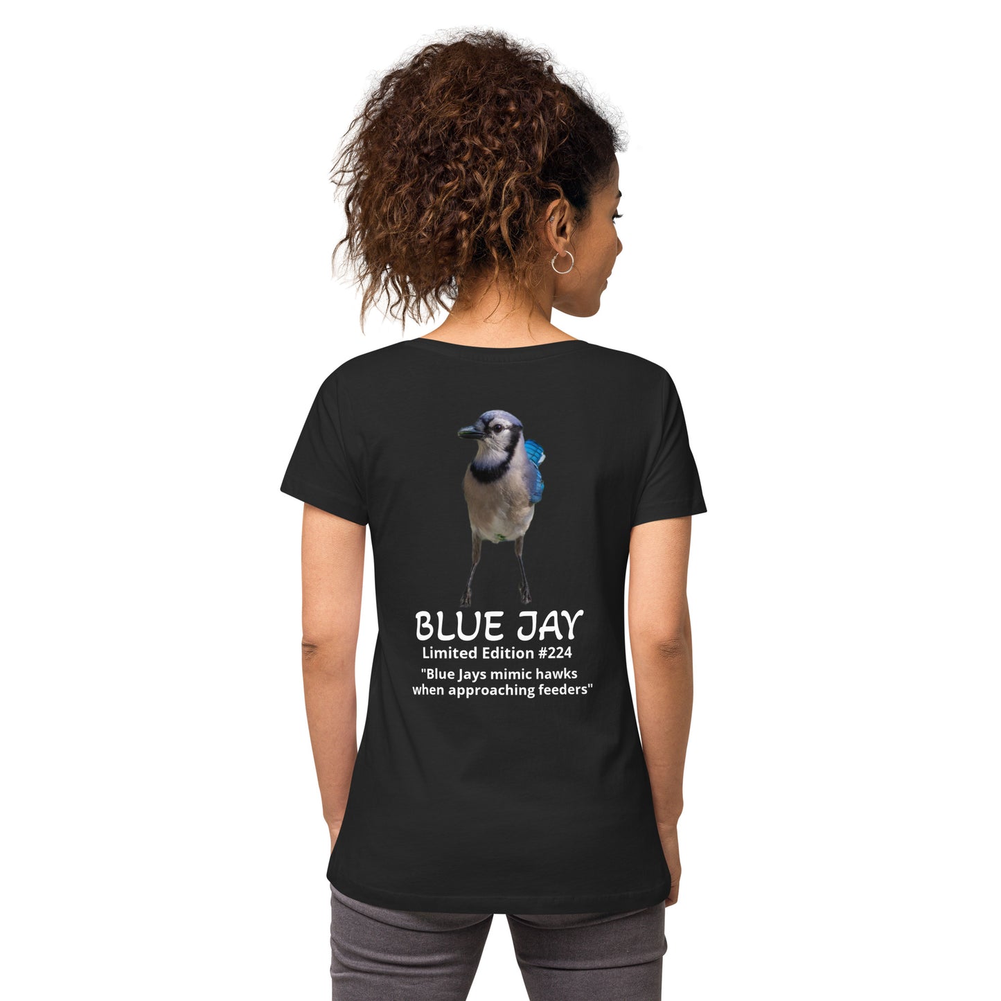 Blue Jay - Limited Edition