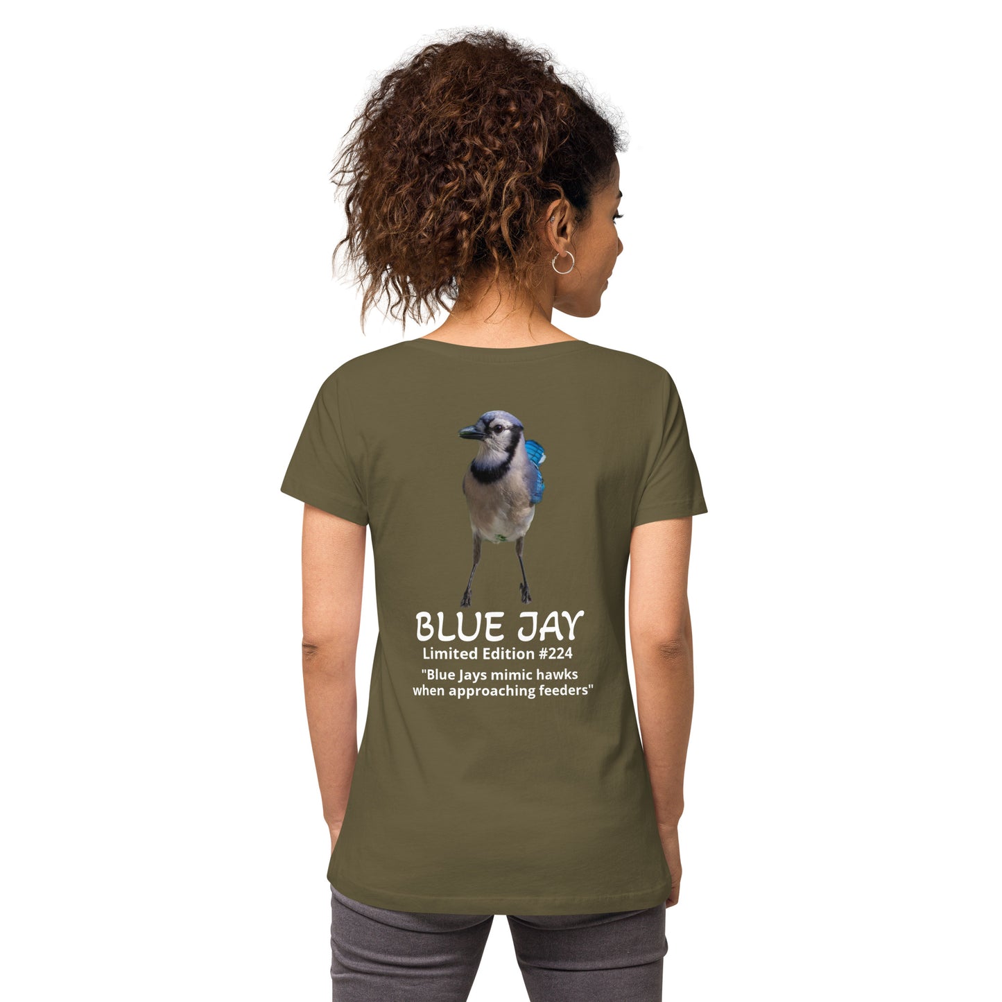 Blue Jay - Limited Edition