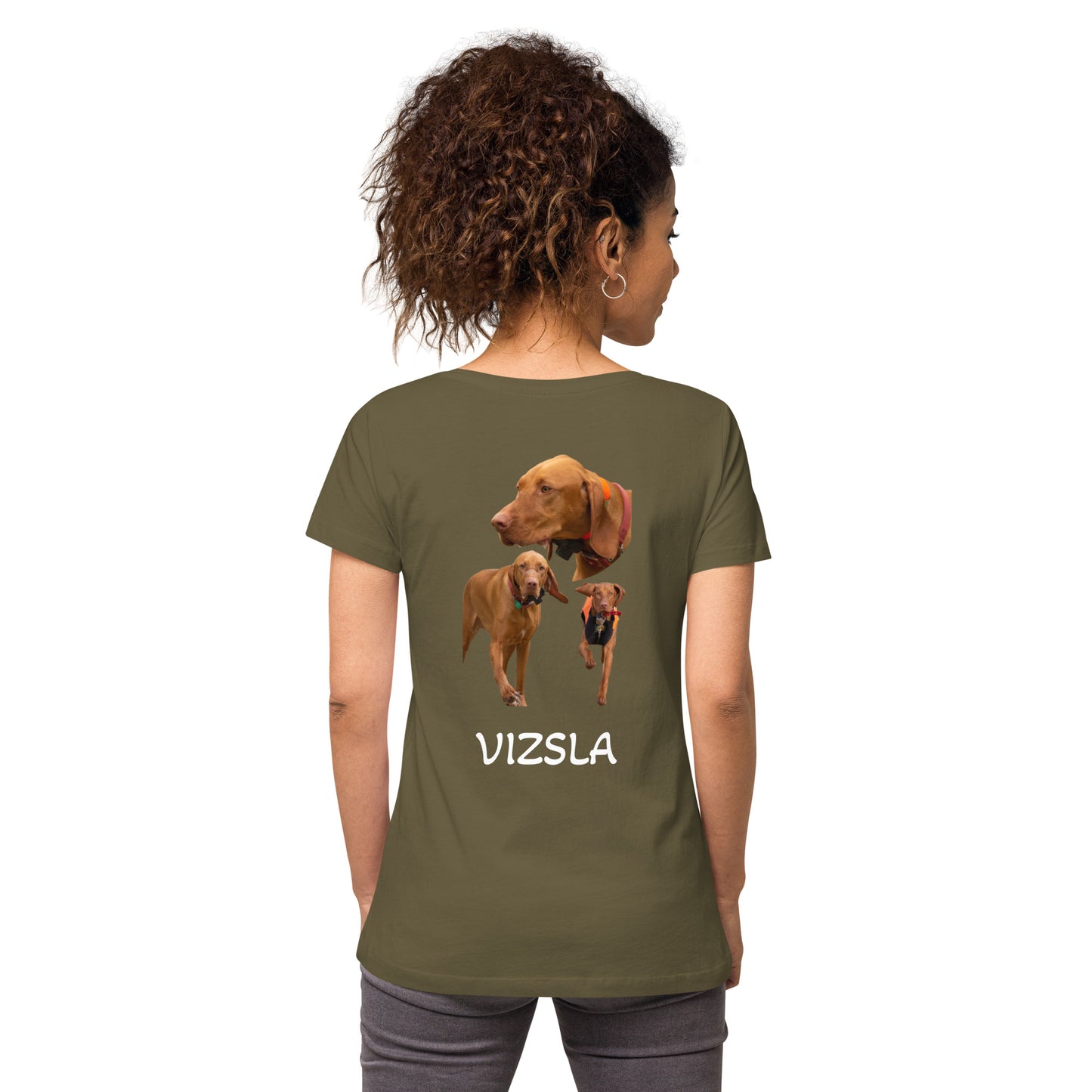 Vizsla - Pointer