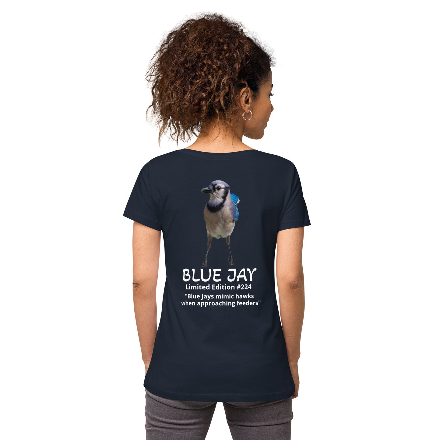 Blue Jay - Limited Edition