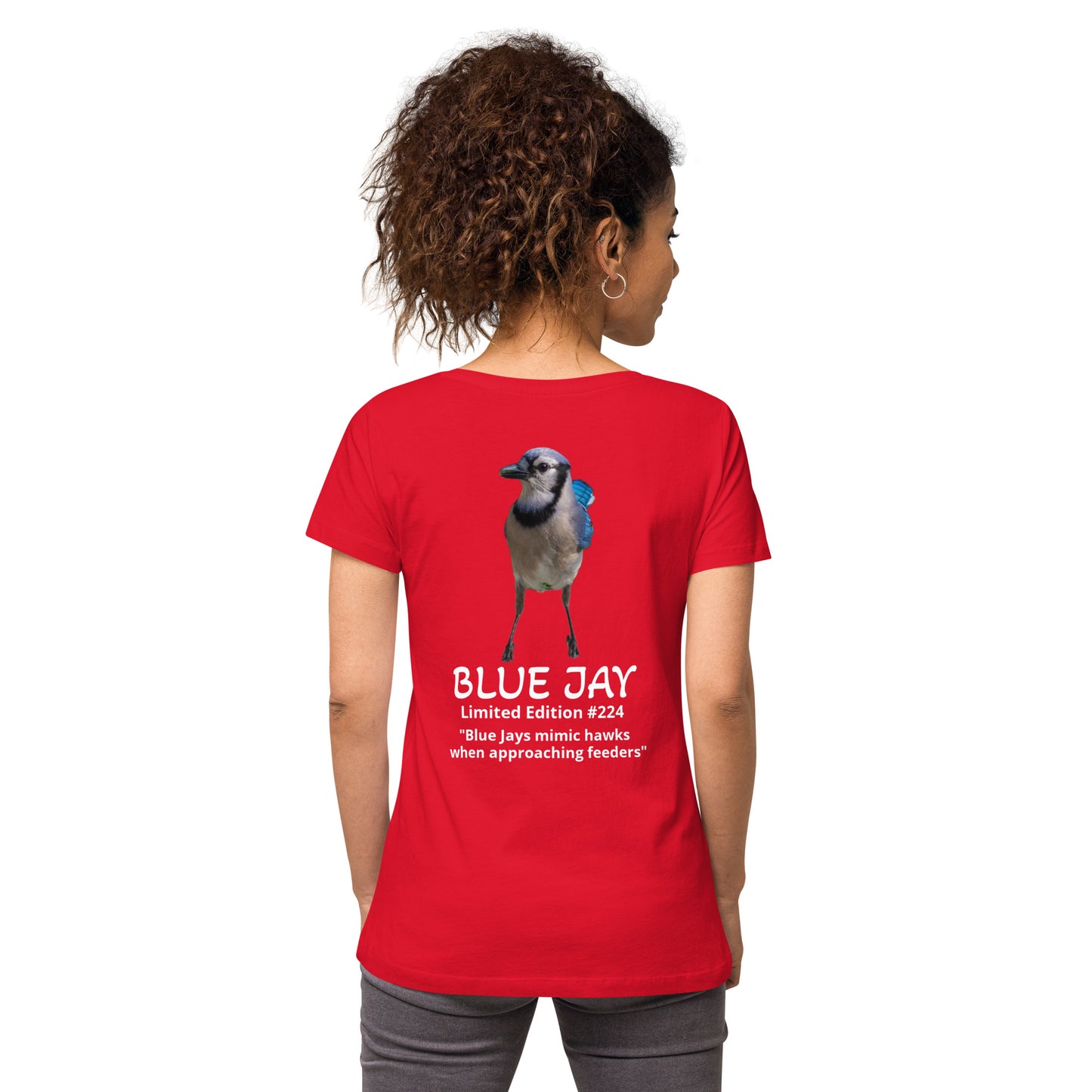 Blue Jay - Limited Edition