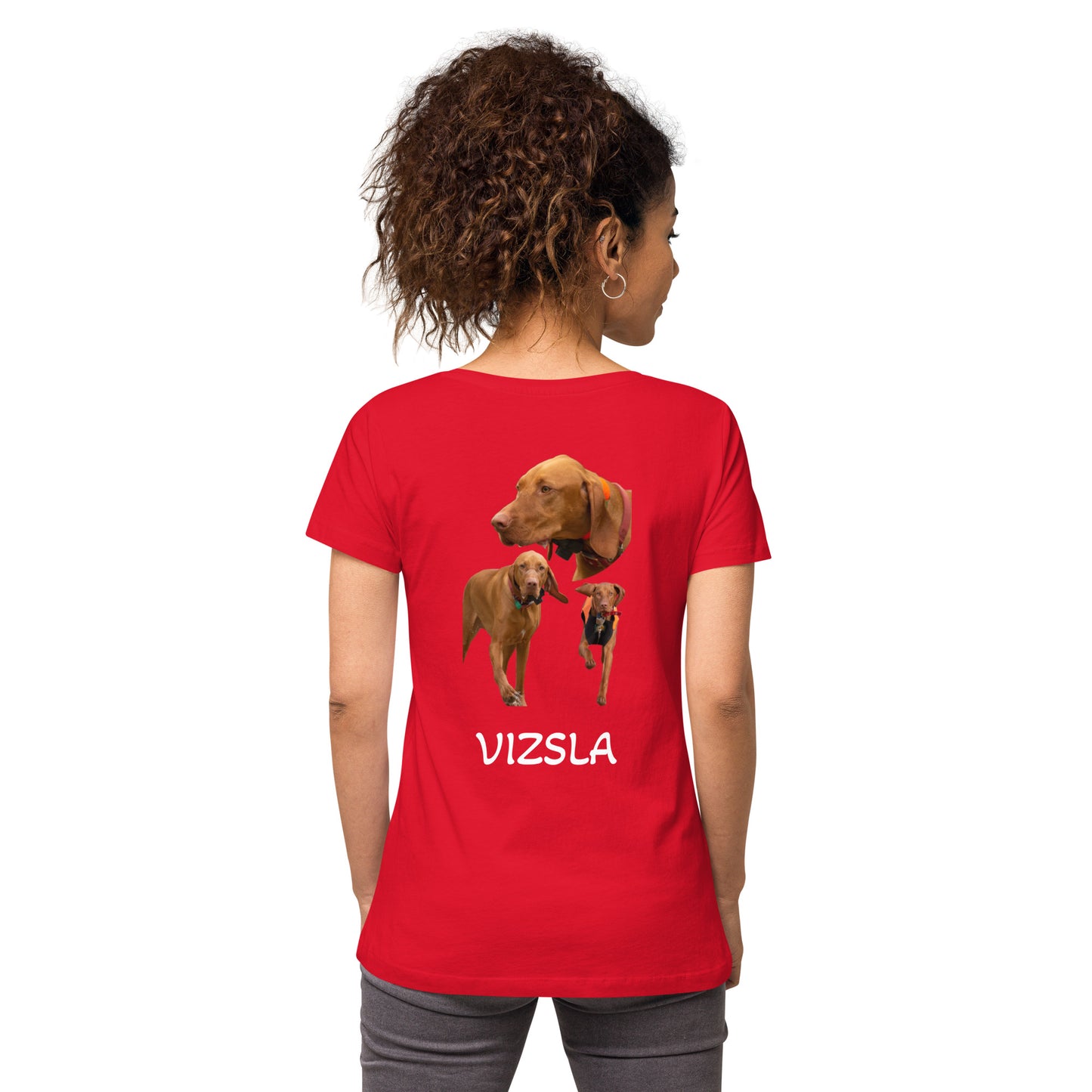 Vizsla - Pointer