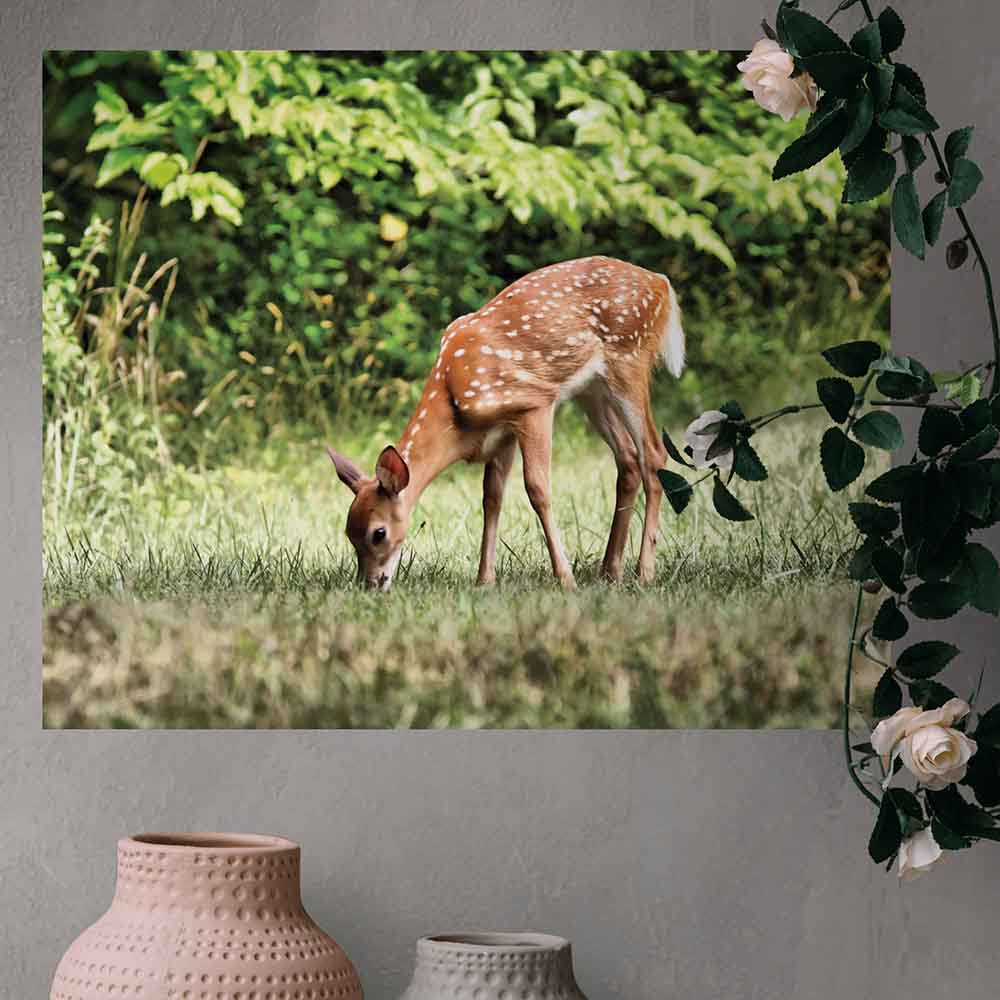 Batie Grazing Fawn Gloss Poster (4 Sizes Available)