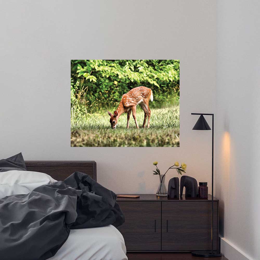 Batie Grazing Fawn Gloss Poster (4 Sizes Available)