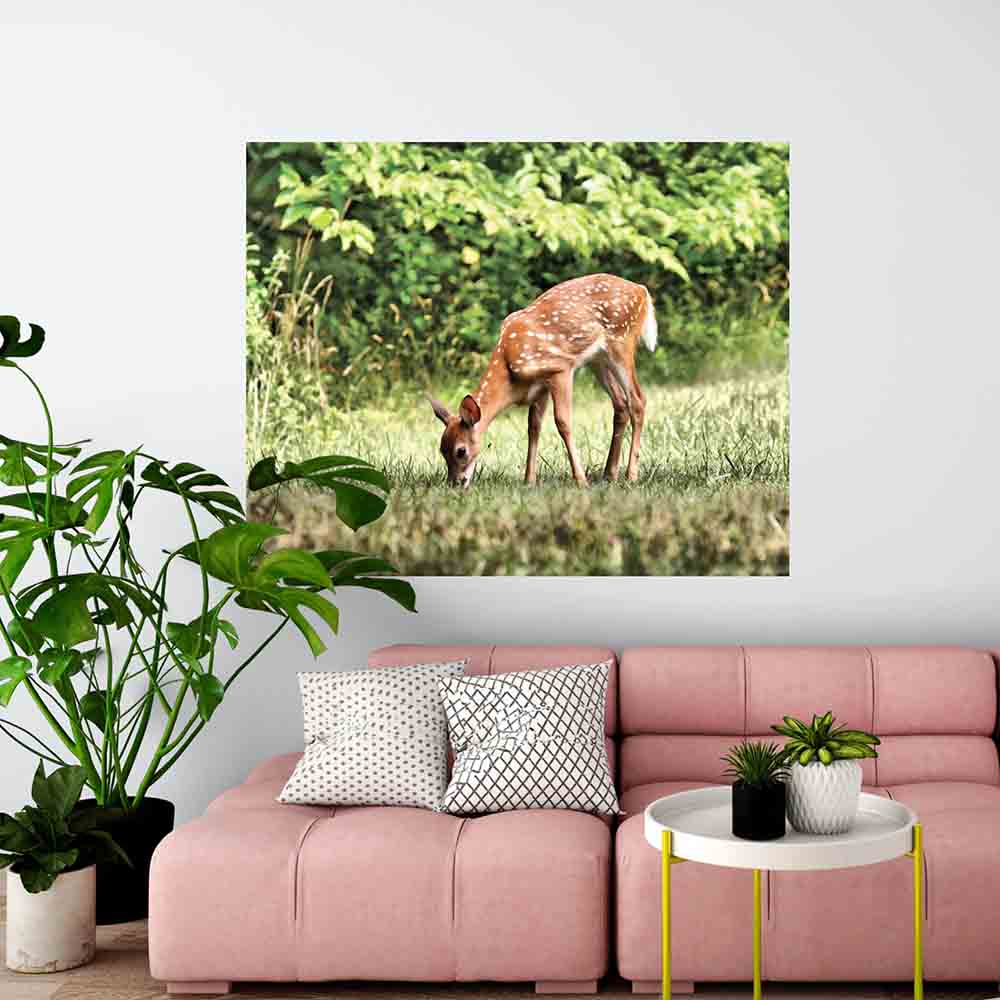 Batie Grazing Fawn Gloss Poster (4 Sizes Available)
