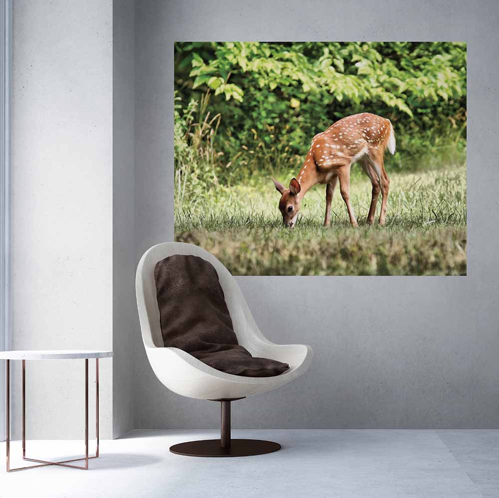 Batie Grazing Fawn Gloss Poster (4 Sizes Available)
