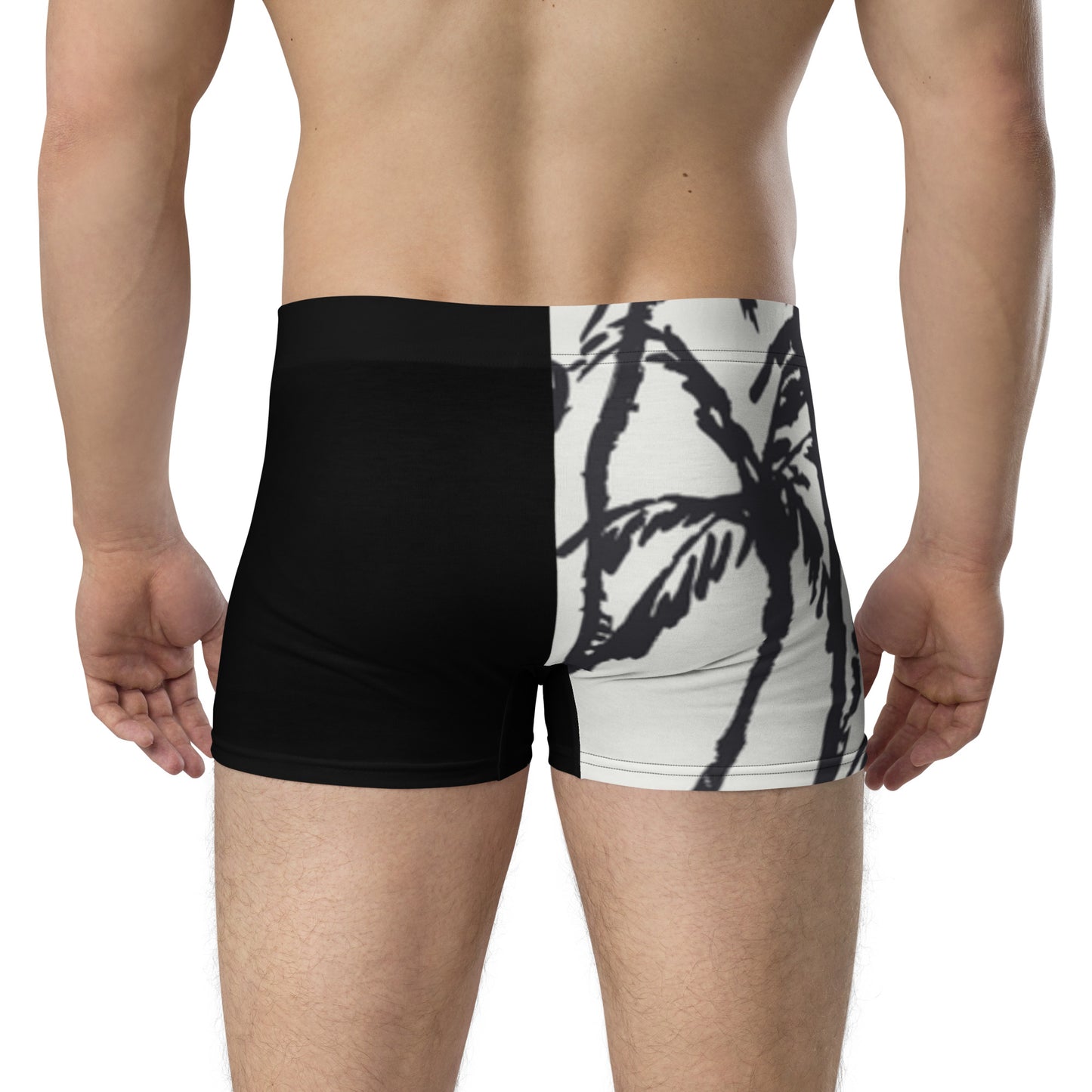 Lion 954 Signature Men's Boxer Briefs