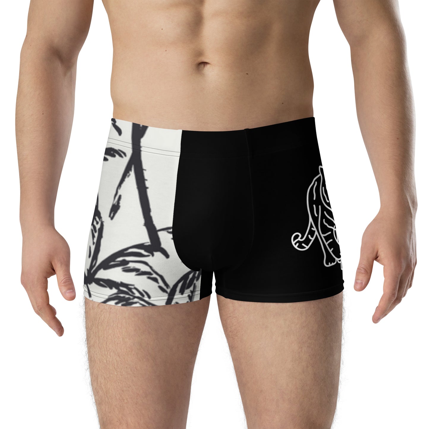 Lion 954 Signature Men's Boxer Briefs