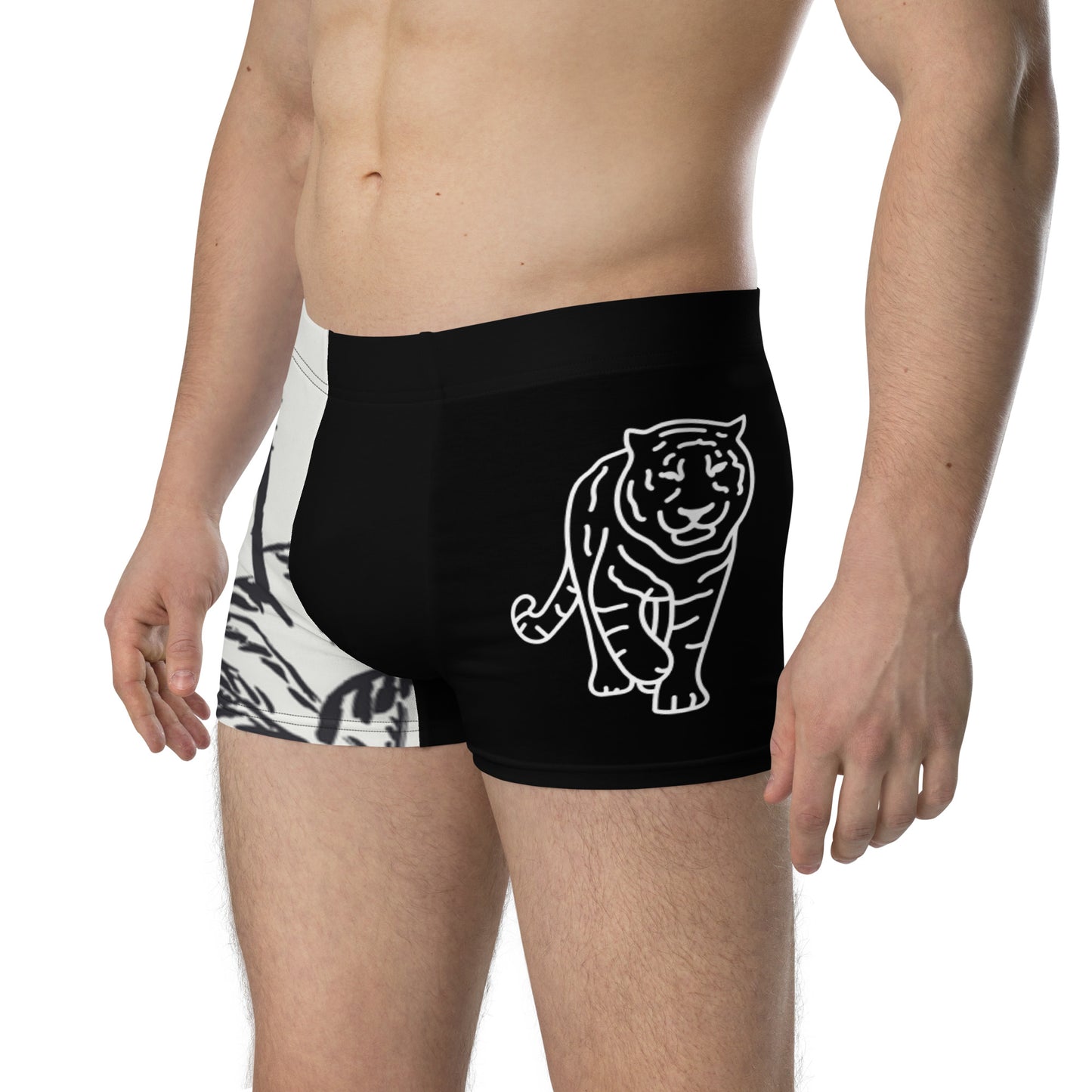 Lion 954 Signature Men's Boxer Briefs