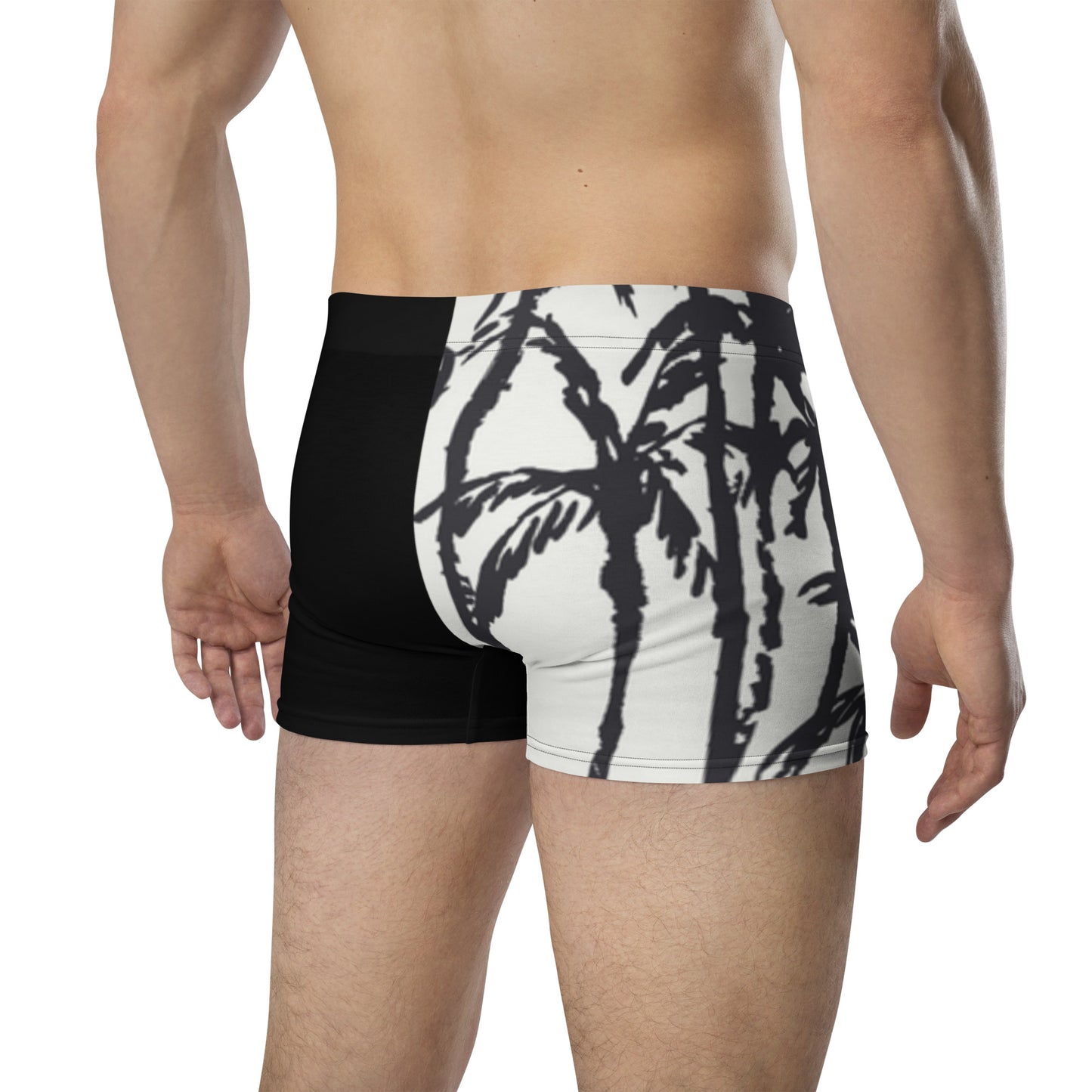 Lion 954 Signature Men's Boxer Briefs