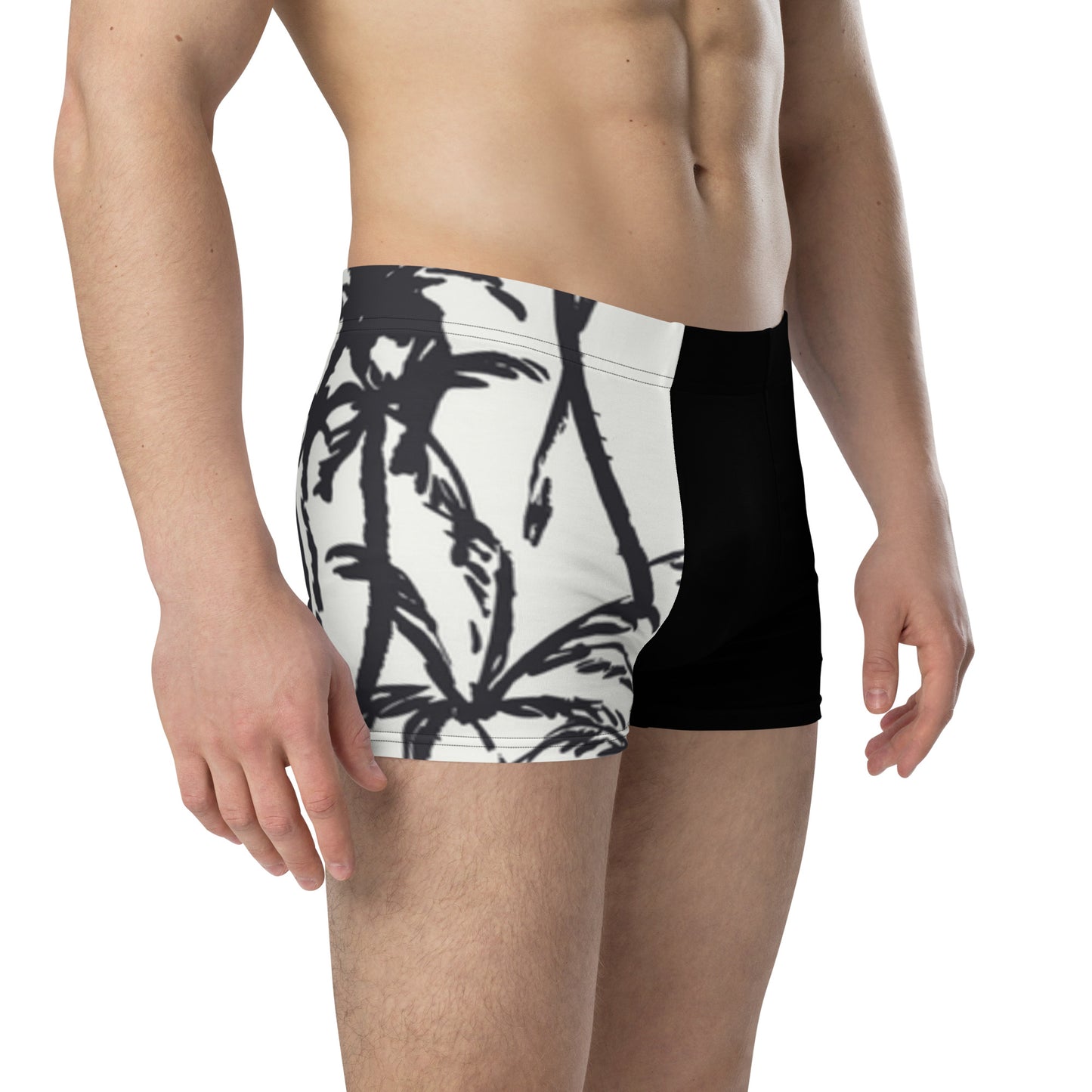 Lion 954 Signature Men's Boxer Briefs