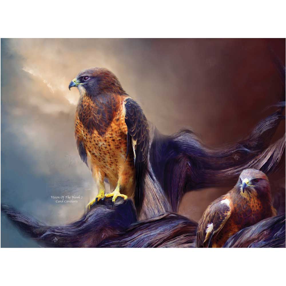 Cavalaris "Vision Of The Hawk II" Wall Decal (4 Sizes Available)