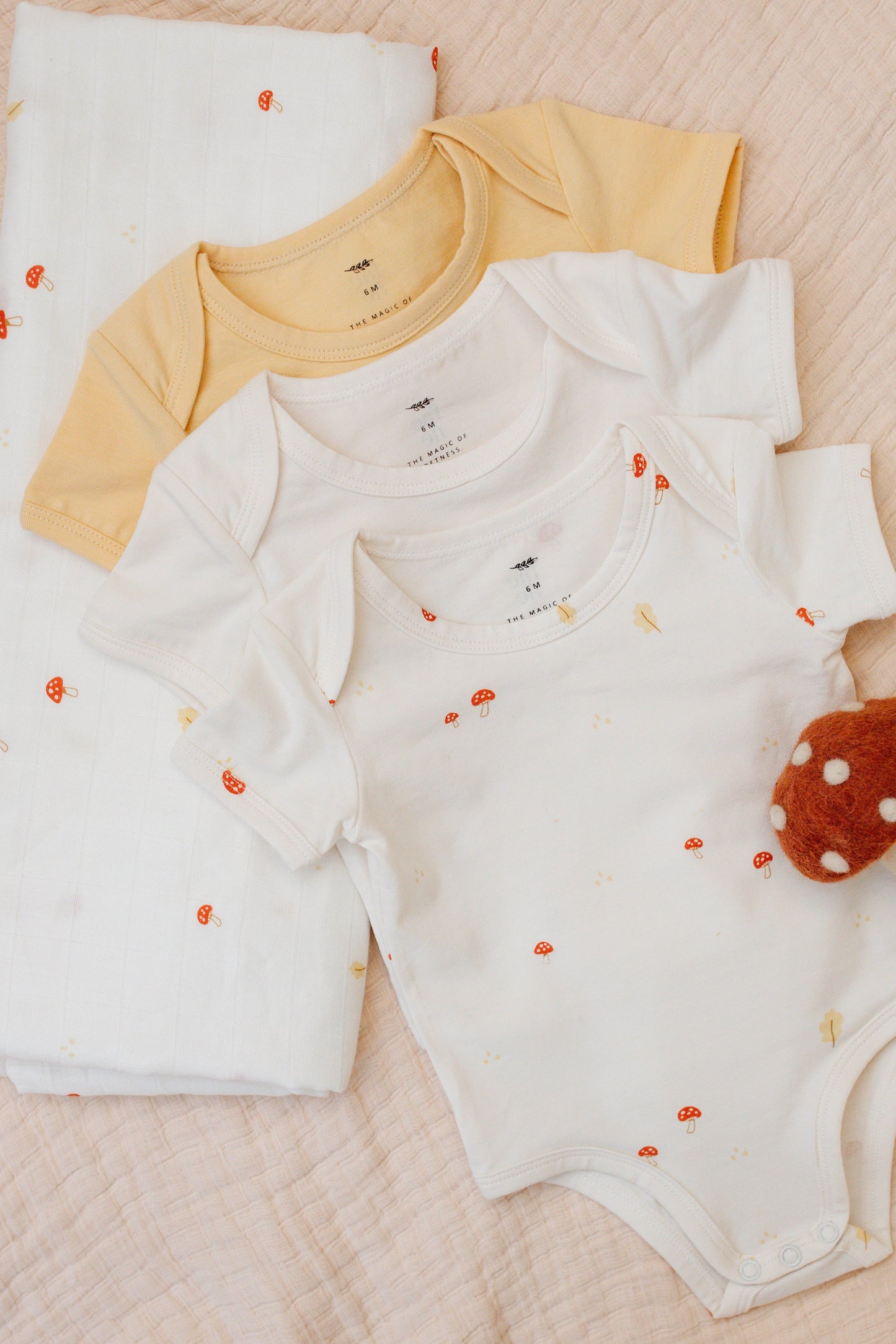 Baby Boy Short Sleeve Set