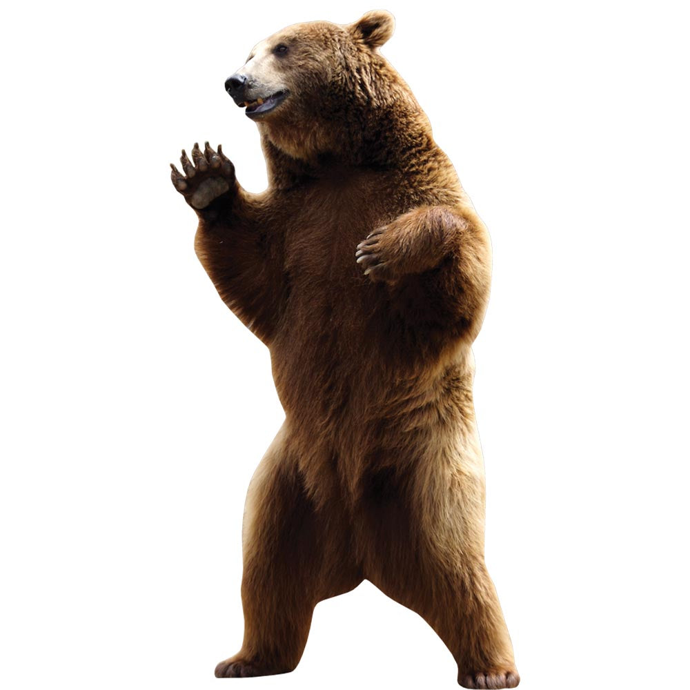 Standing Grizzly Bear Wall Decal (6 Sizes Available)