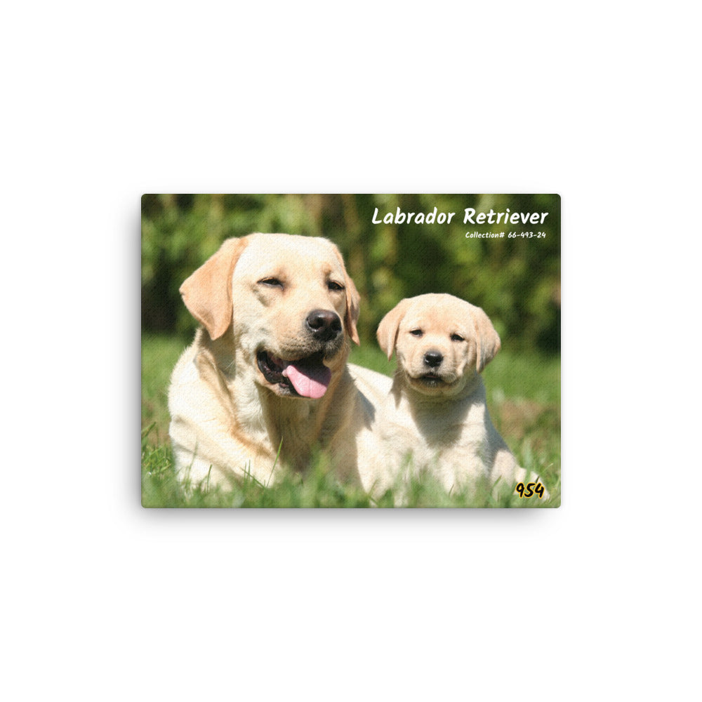 Labrador Retrievers 954 Signature Thin canvas