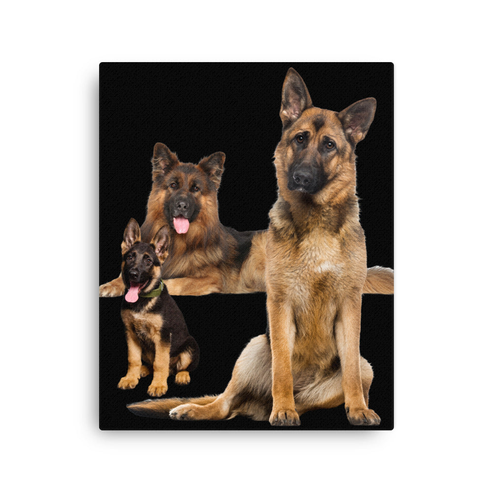 German Shepherd 954 Signature Thin canvas