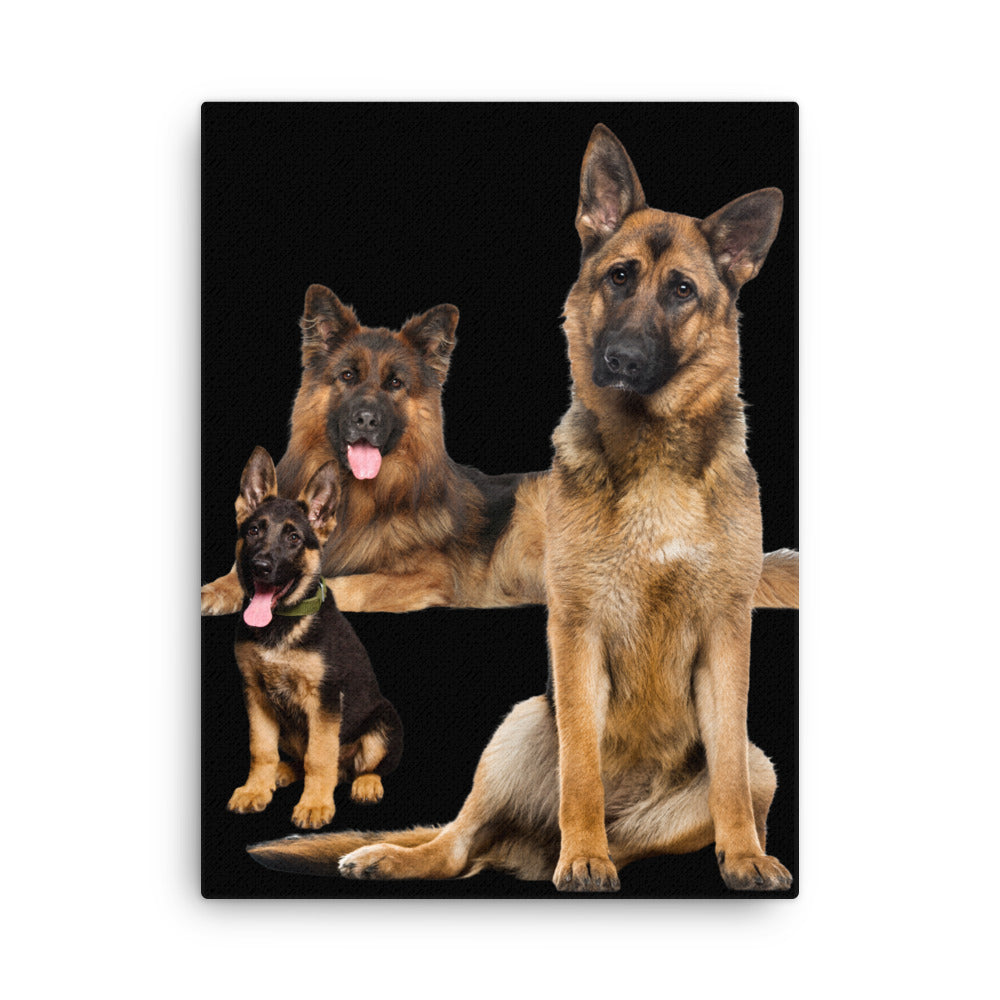 German Shepherd 954 Signature Thin canvas