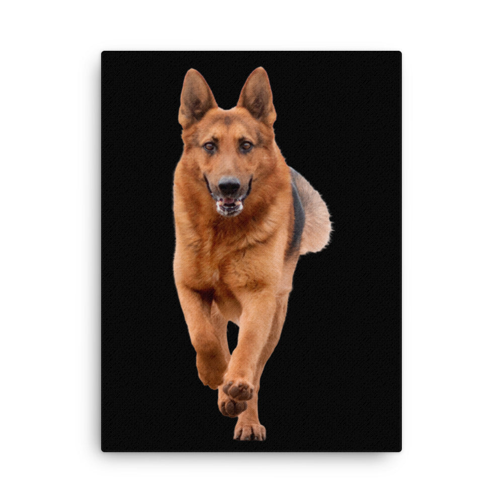 German Shepherd II 954 Signature Thin canvas