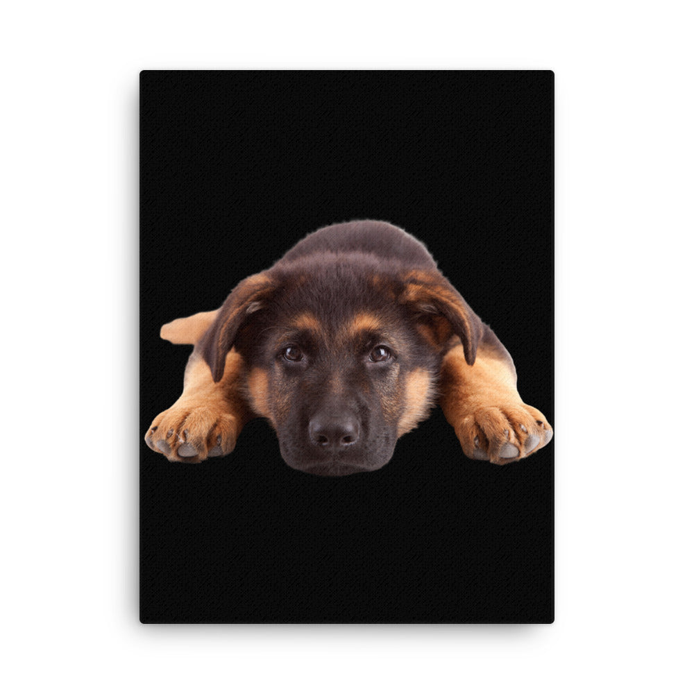 Shepherd Puppy 954 Signature Thin canvas