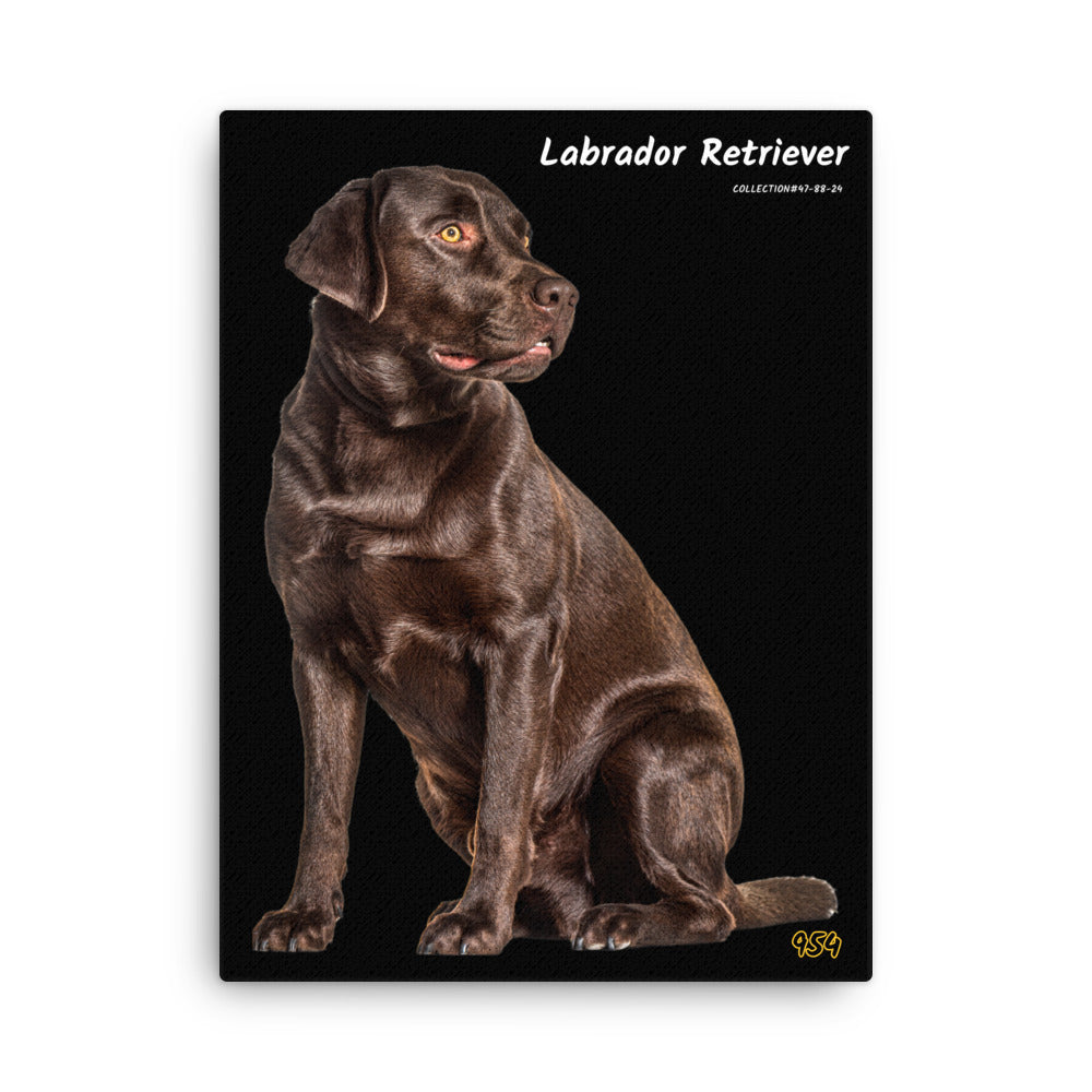 Labrador Retriever 954 Signature Thin canvas