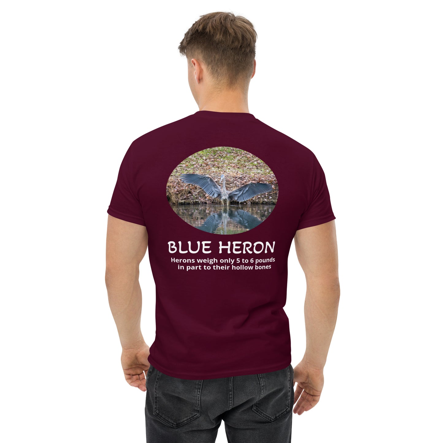 Blue Heron - Signature Collection