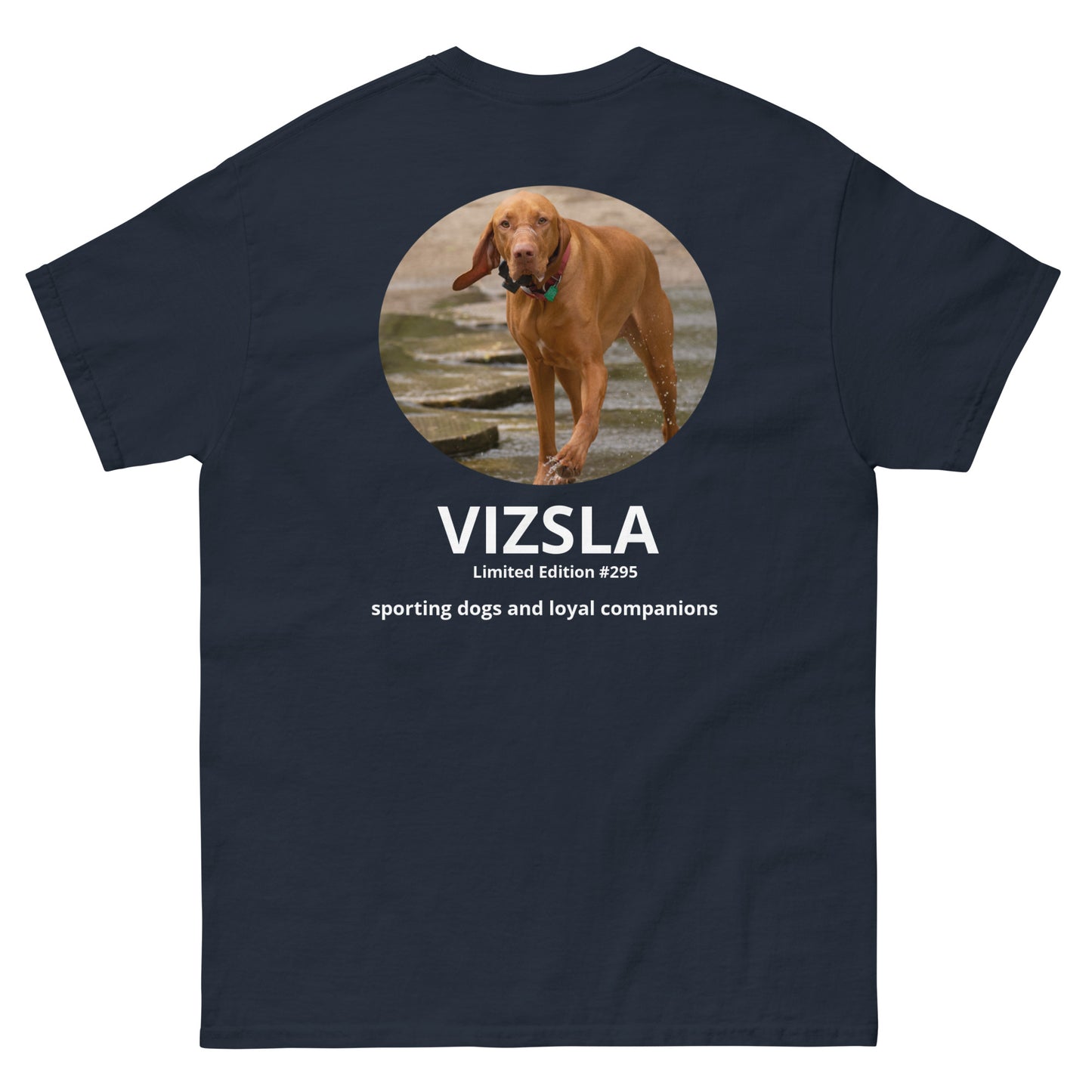 Vizsla