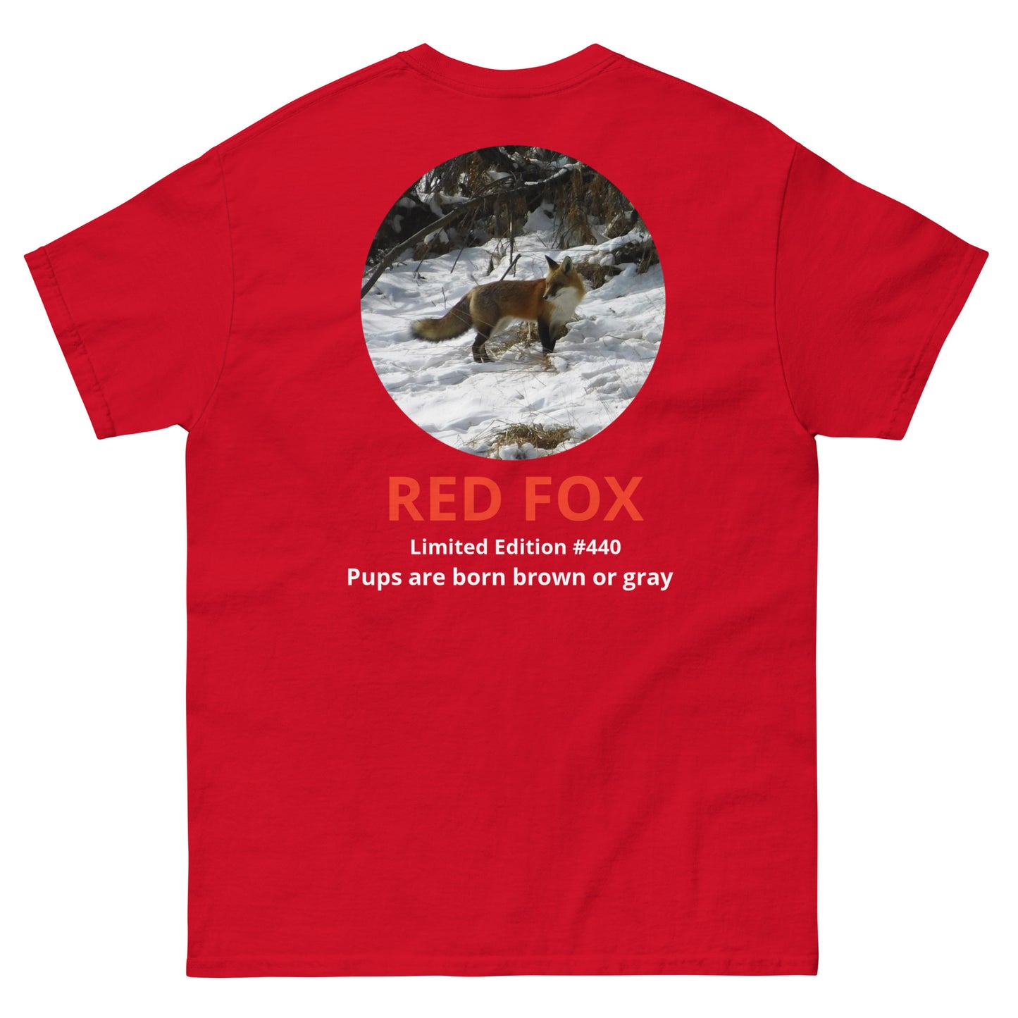 Red Fox - Save Wildlife Collection