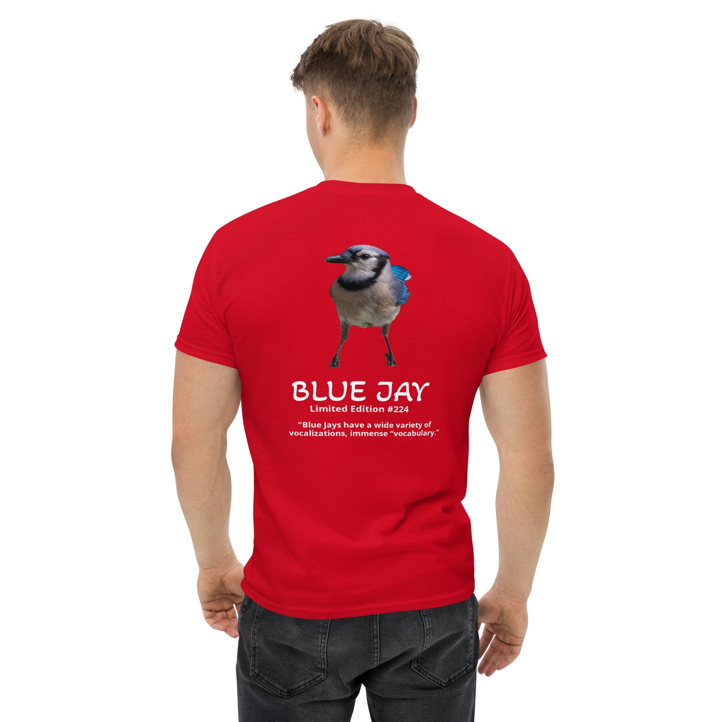 Blue Jay - Limited Edition