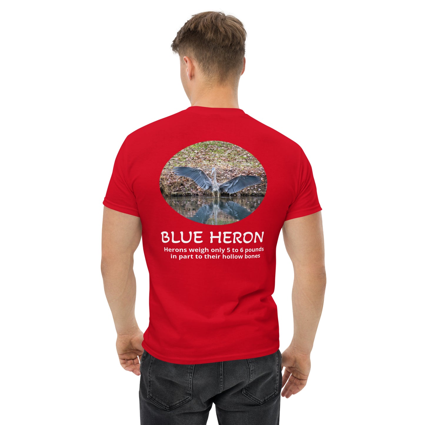 Blue Heron - Signature Collection