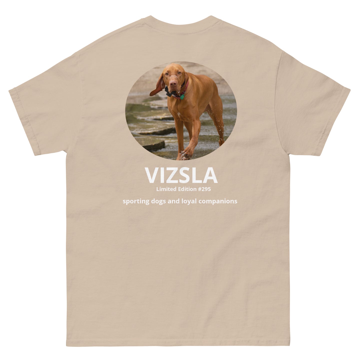 Vizsla