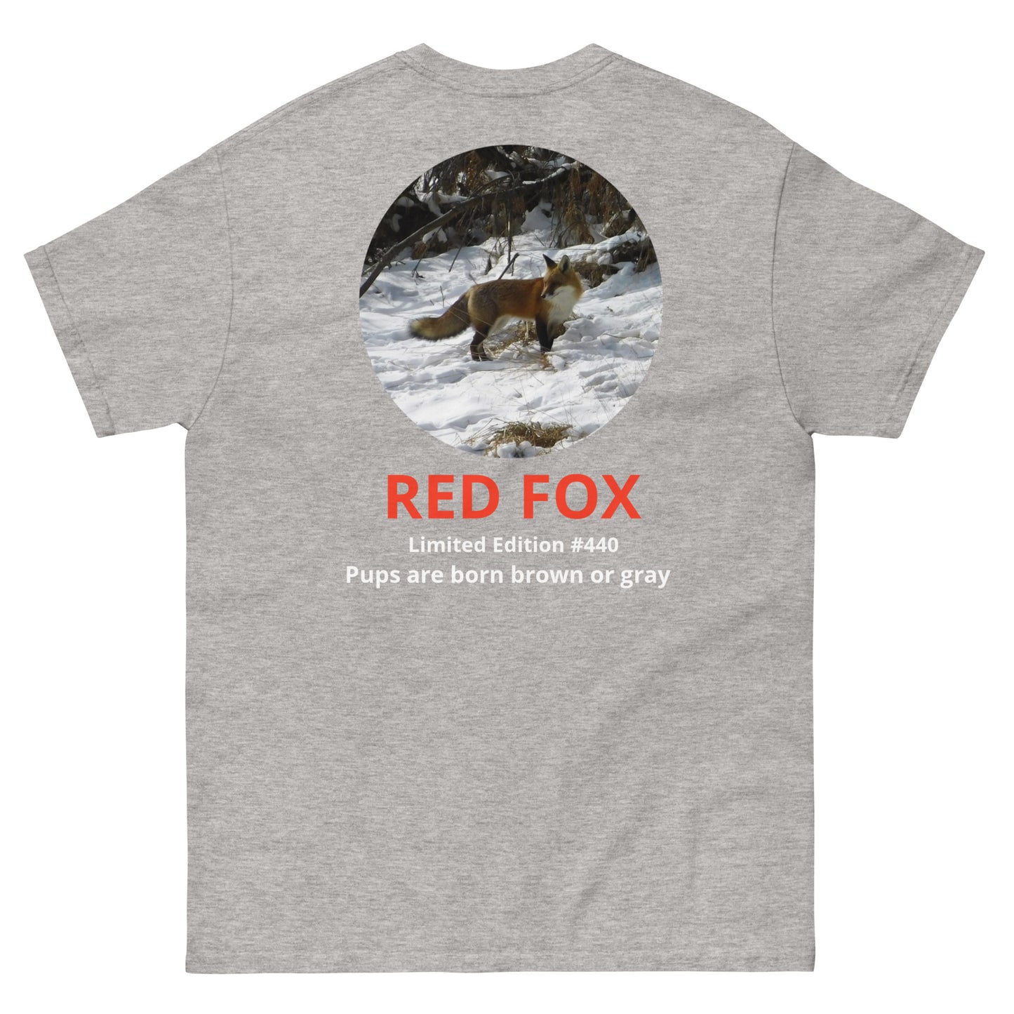 Red Fox - Save Wildlife Collection