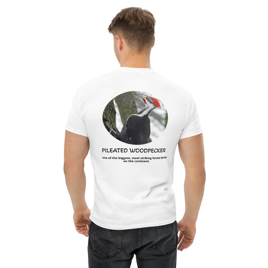 Pileated Woodpecker