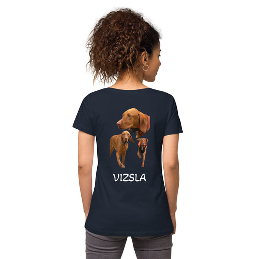 Vizsla - Pointer